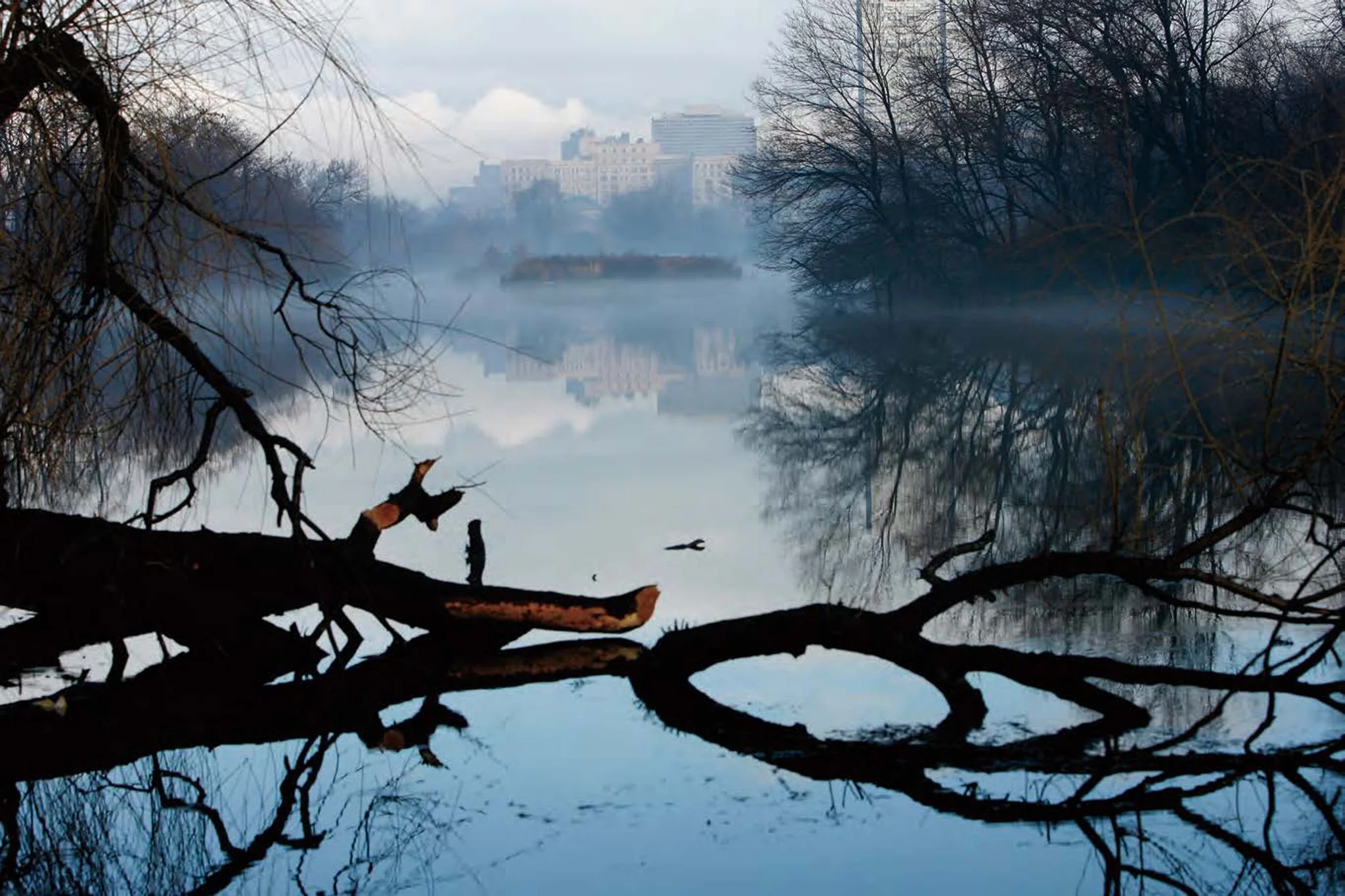Chicago in Season: A Collection of Images by Chicago Tribune Photographers - Image 4