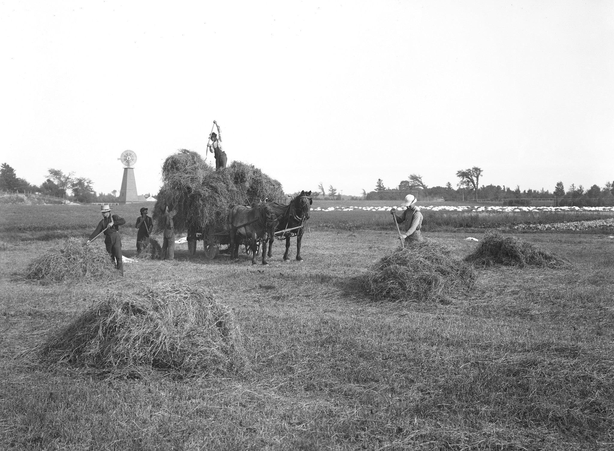 Clinton County Memories: The Early Years - Image 2
