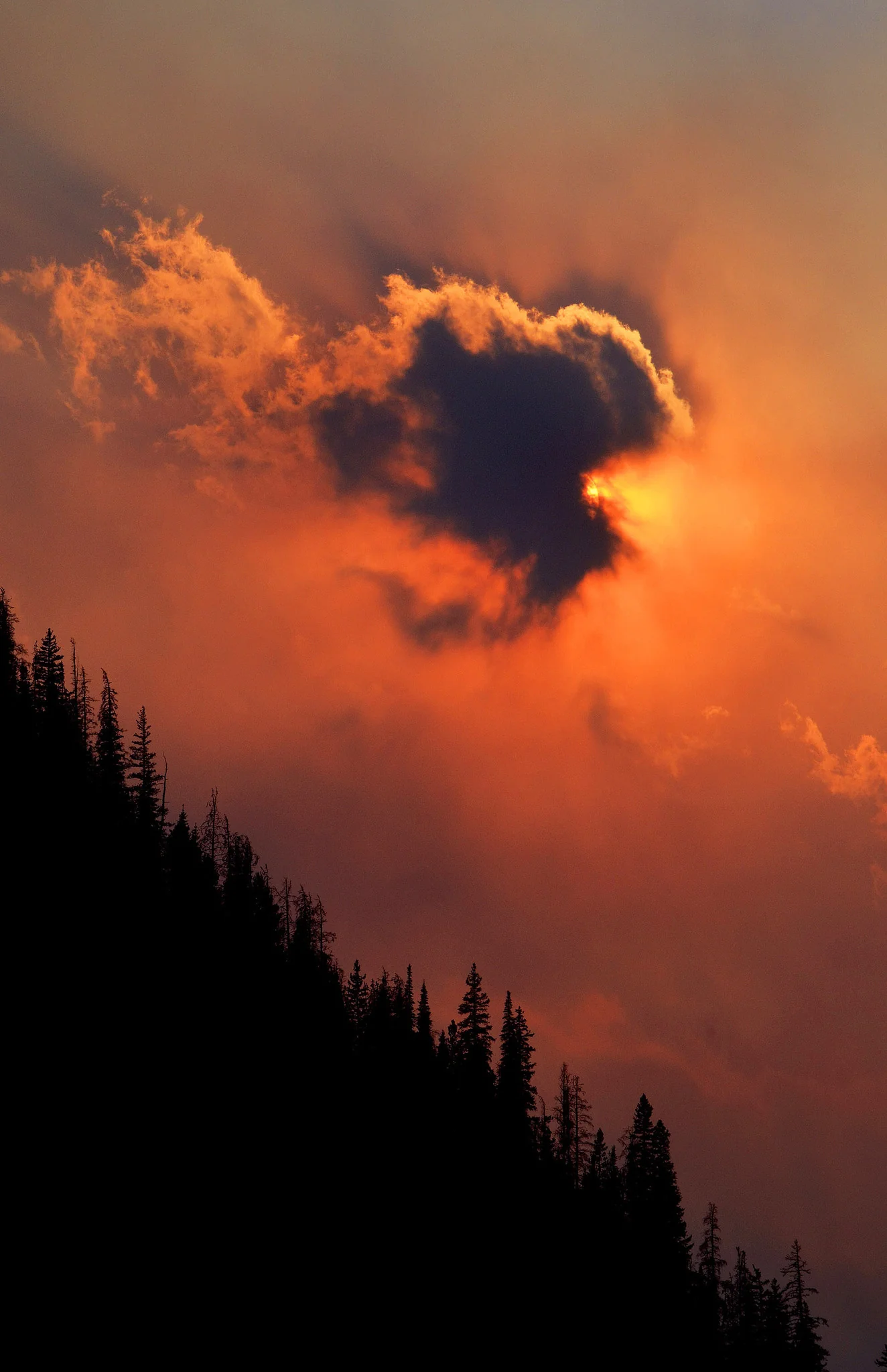 Colorado's High Country: Volume II • A Photojournalistic Look at Life in the Mountains - Image 11