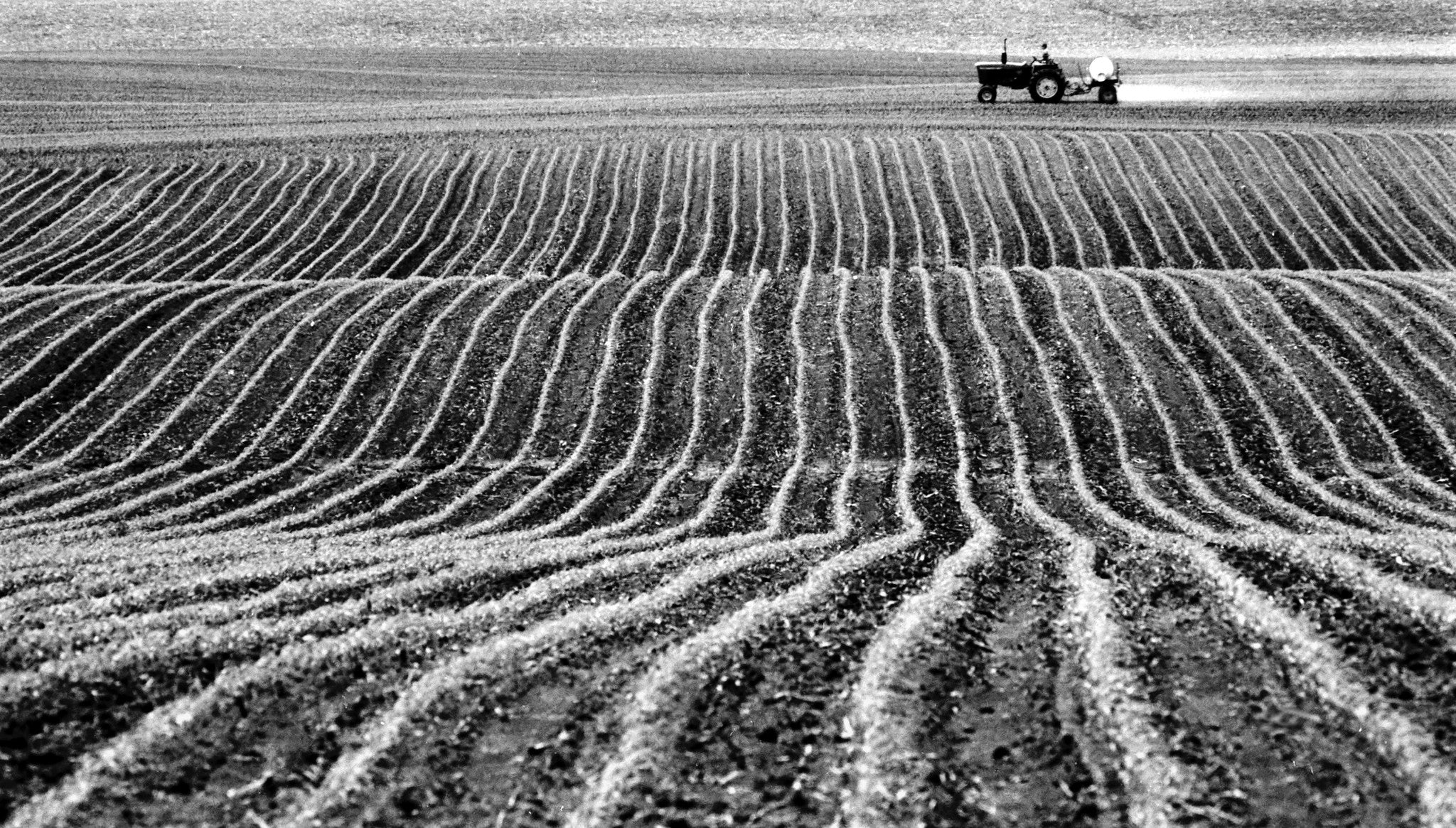 CrossRoads: 40 Years of Photojournalism ~ Capturing the People, Places and Events of Southern Minnesota - Image 15