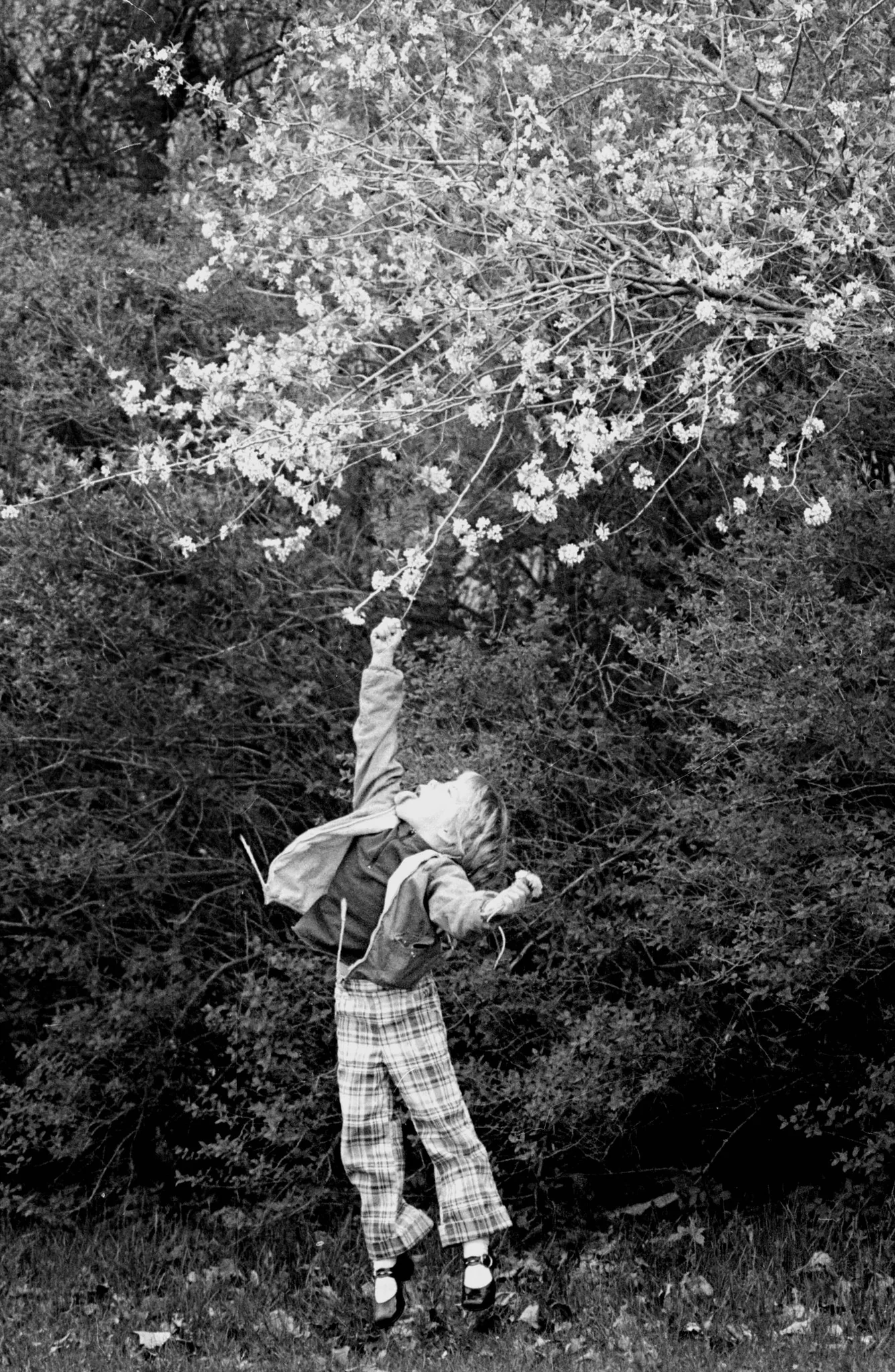 CrossRoads: 40 Years of Photojournalism ~ Capturing the People, Places and Events of Southern Minnesota - Image 9