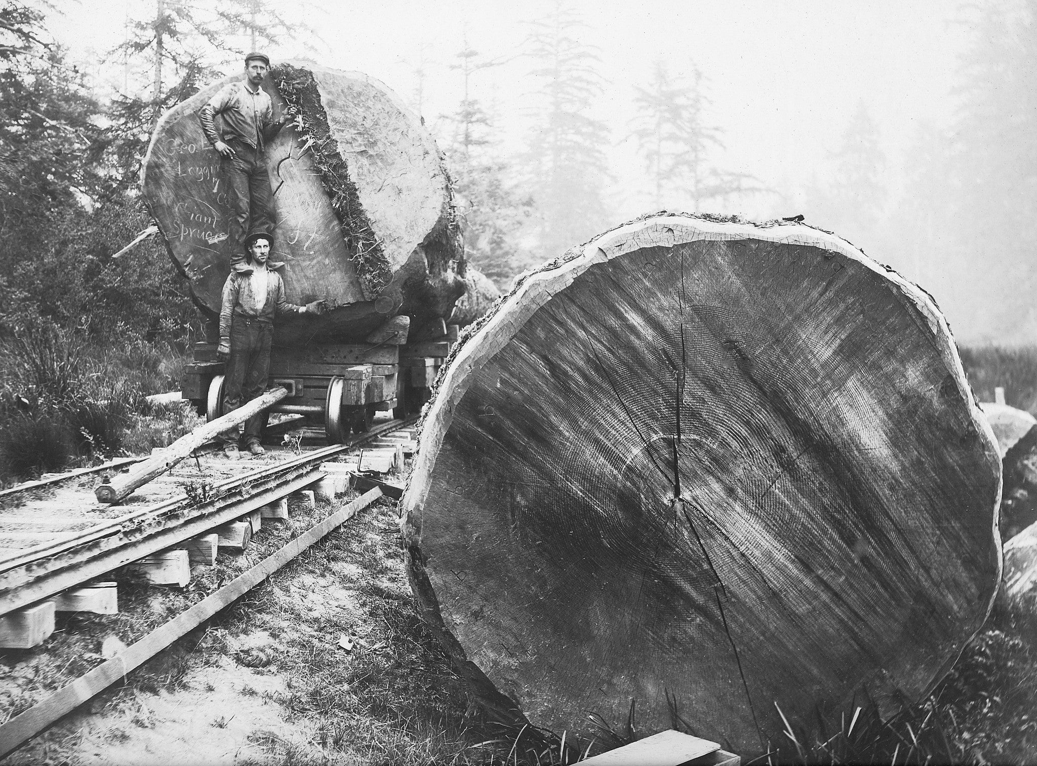Coos County Memories: The Early Years - Image 12