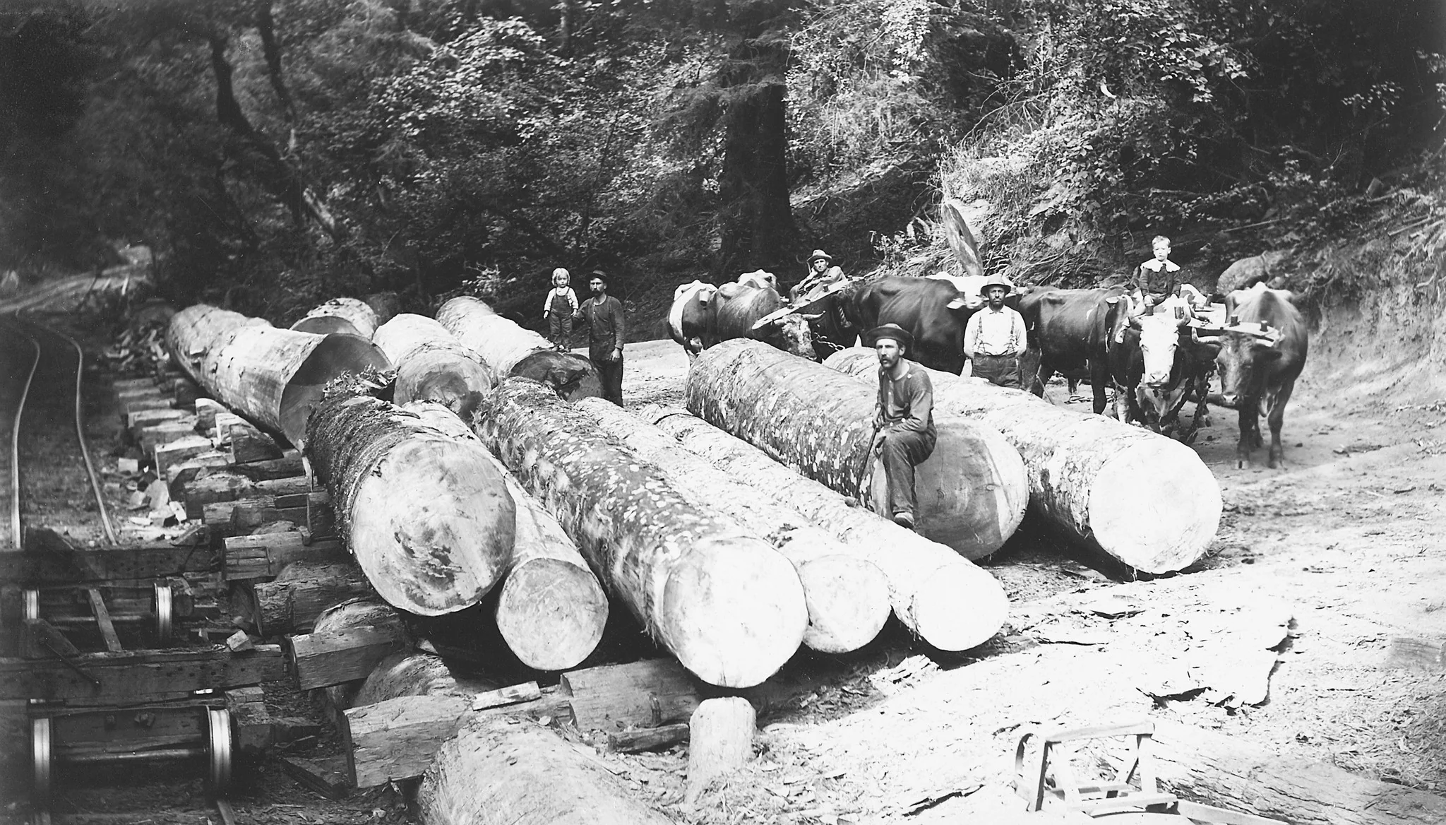 Coos County Memories: The Early Years - Image 15