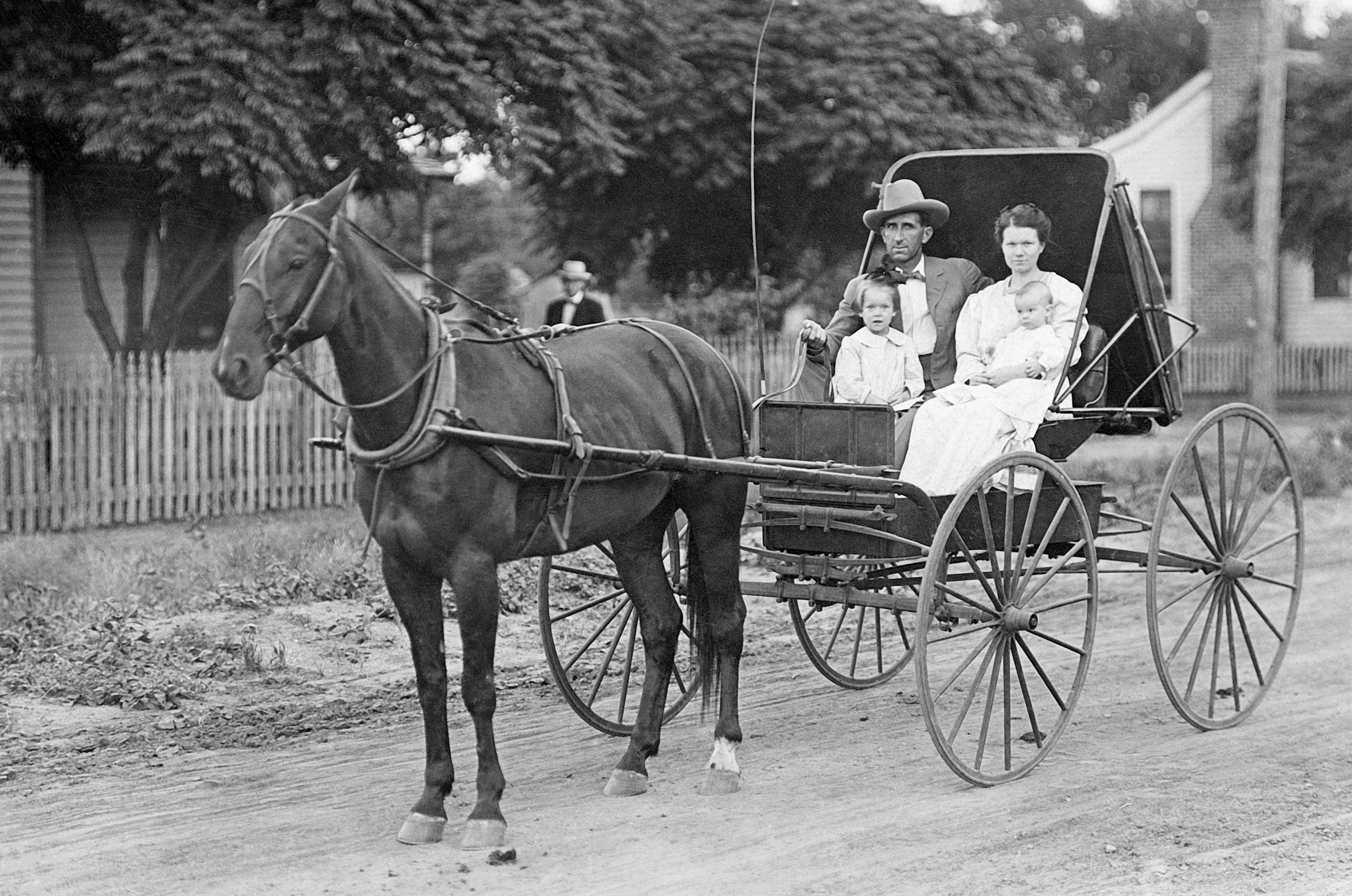 Denton Memories: The Early Years • A Pictorial History - Image 5