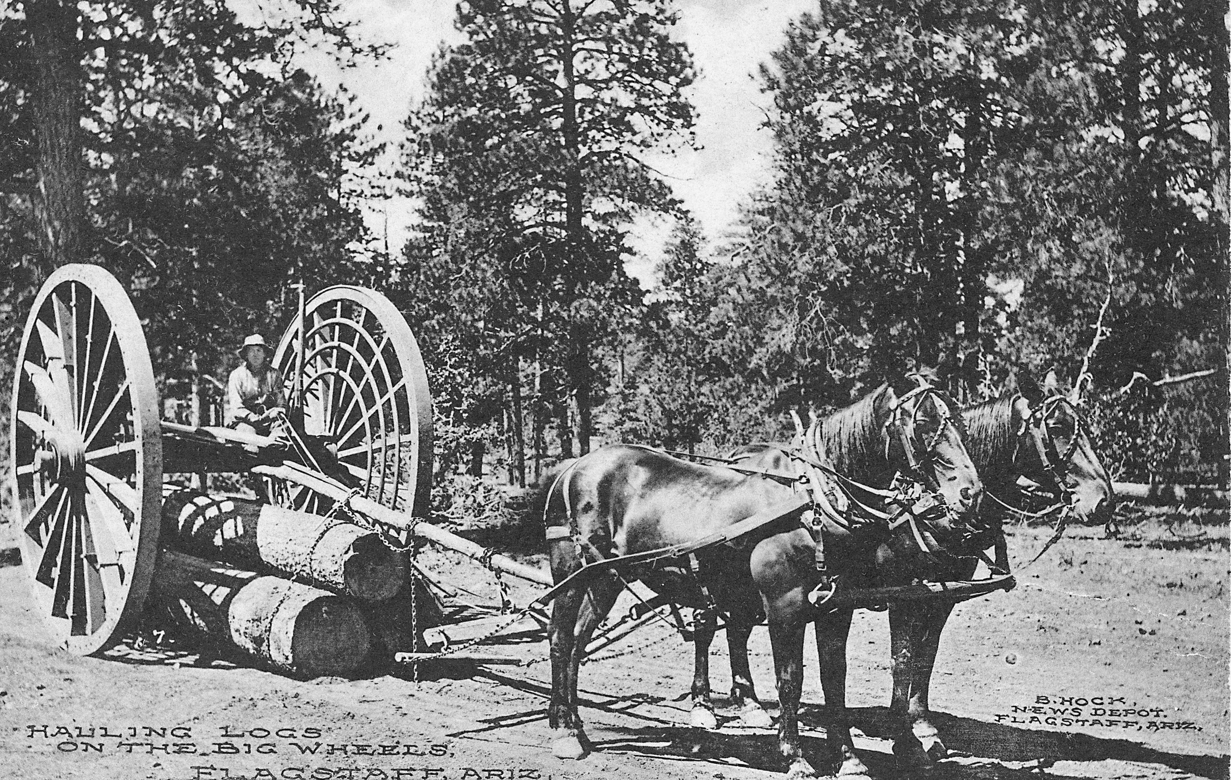 Flagstaff Memories: The Early Years - Image 9