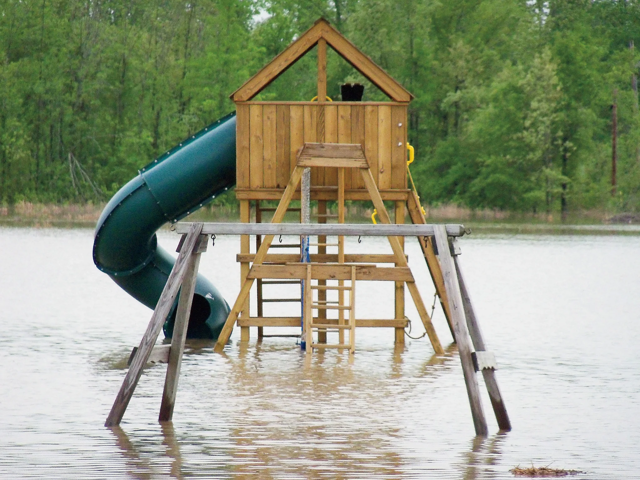 The Great Flood of 2011: Presented by the West Kentucky Star - Image 9