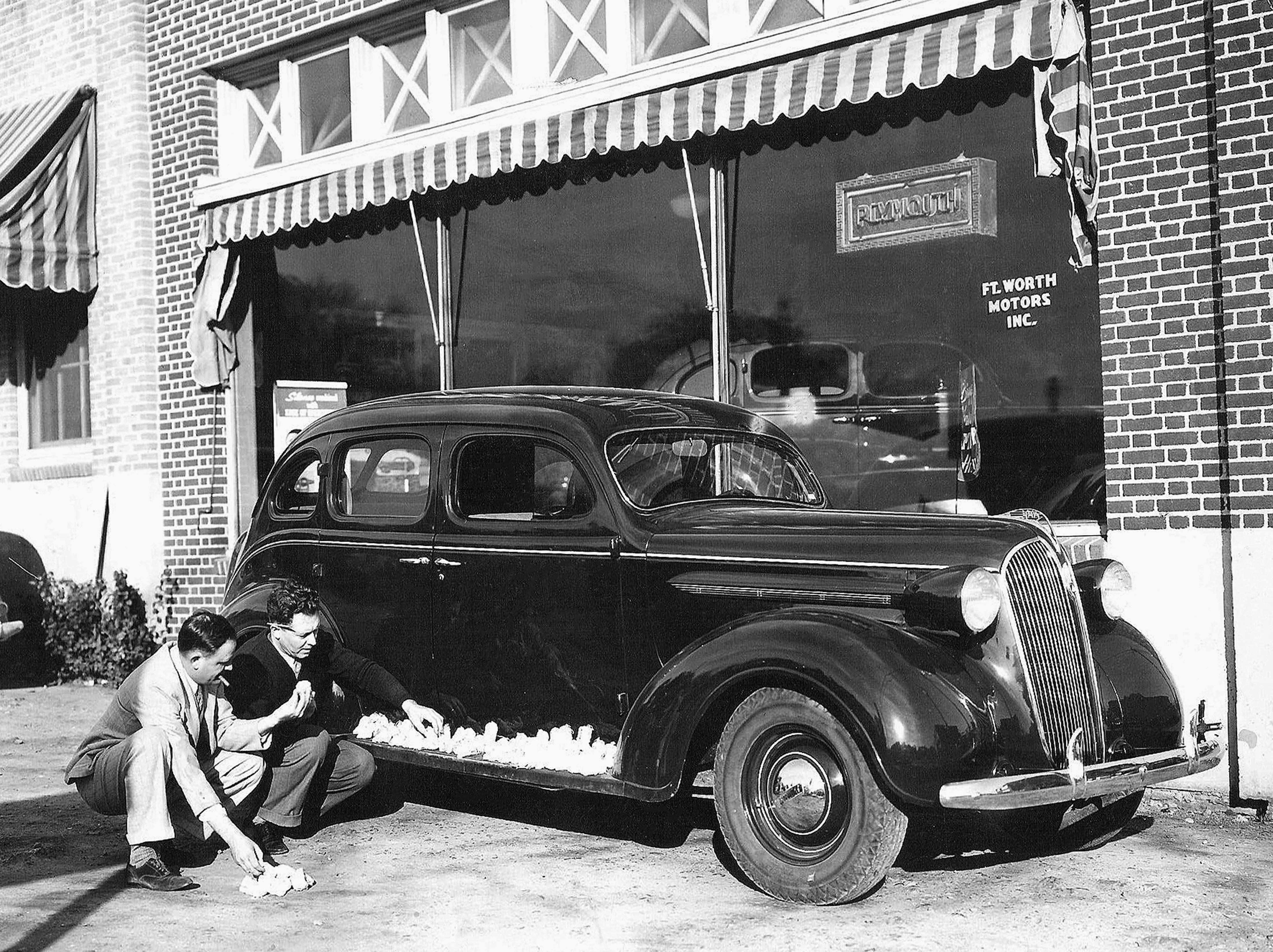 Fort Worth Memories: The Early Years - Image 15