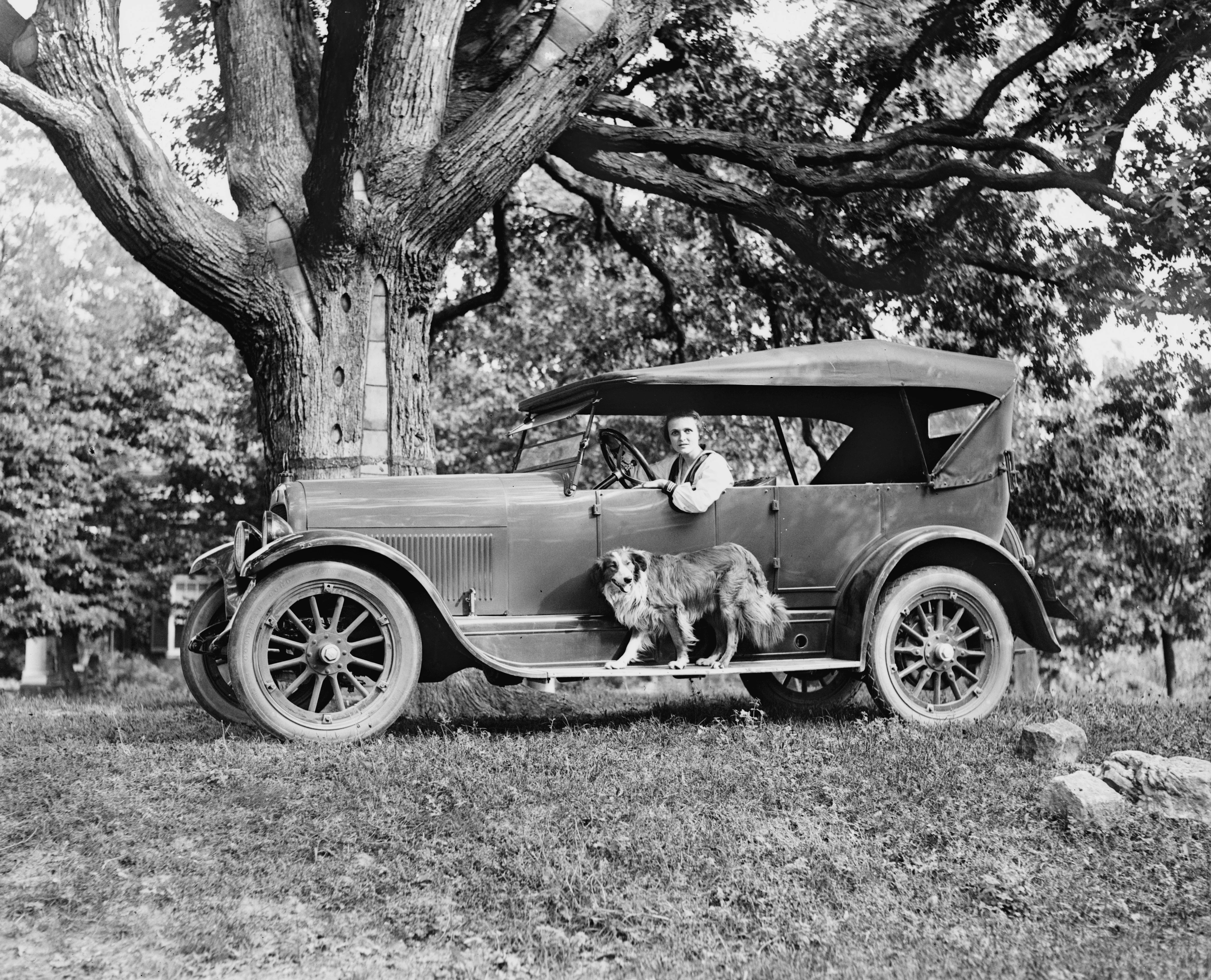 Fredericksburg Memories: A Pictorial History of the 1800s through the 1930s - Image 6