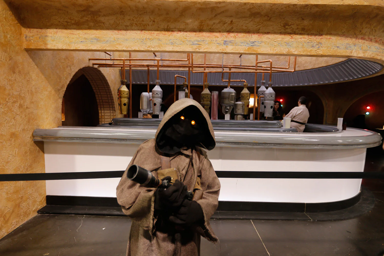 A Galaxy All Their Own: Thirty-Eight Years of Moments, Memories and Fandom Behind the Star Wars Phenomenon - Image 7
