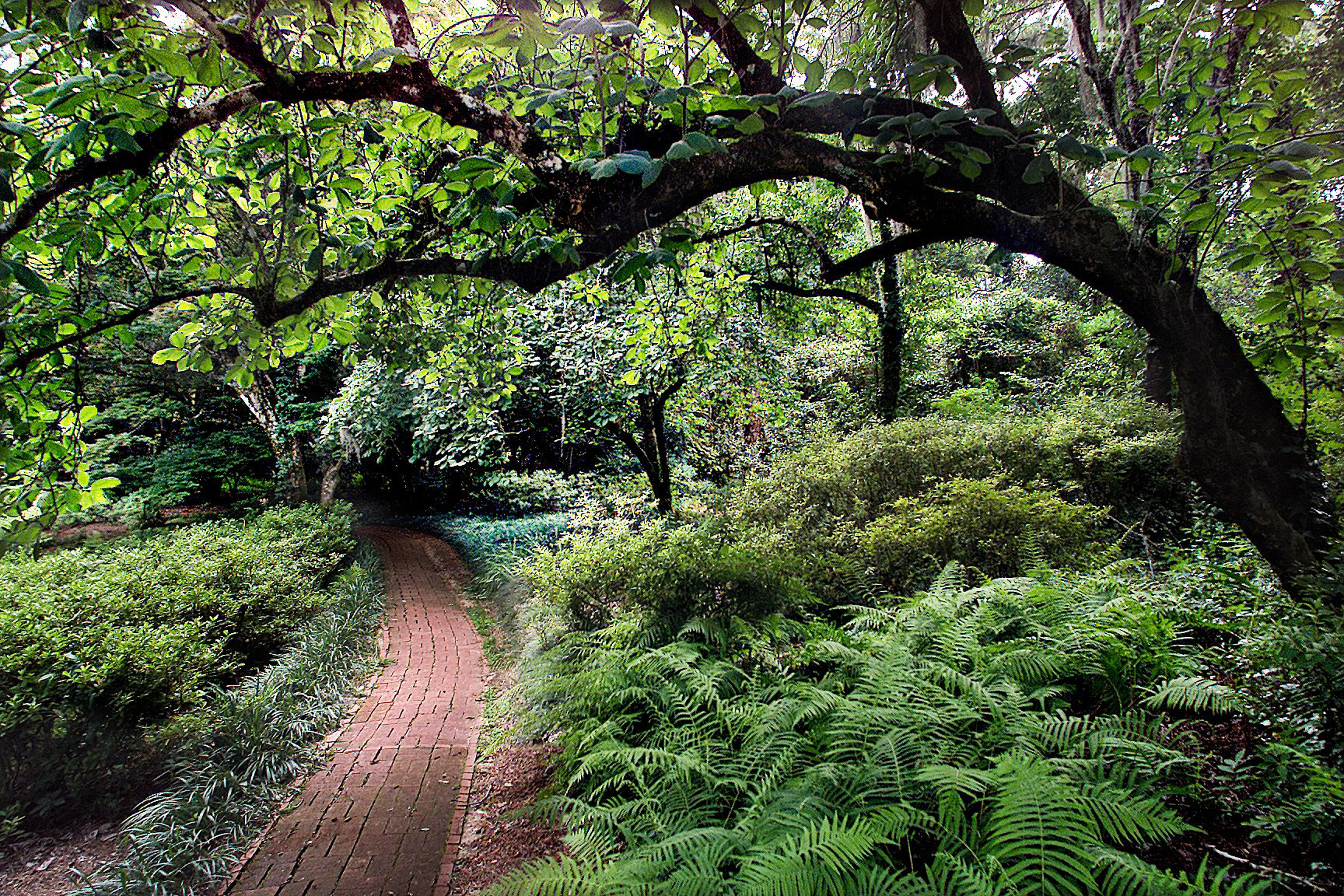 ‘We Found Paradise’: Gerald Ensley on the History and Eccentricities of His Beloved Tallahassee - Image 7