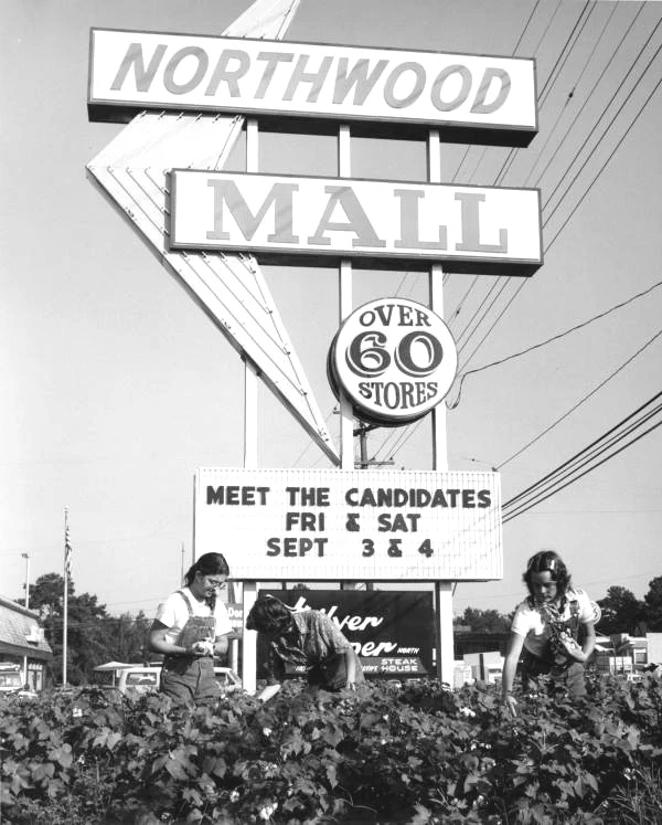 ‘We Found Paradise’: Gerald Ensley on the History and Eccentricities of His Beloved Tallahassee - Image 8