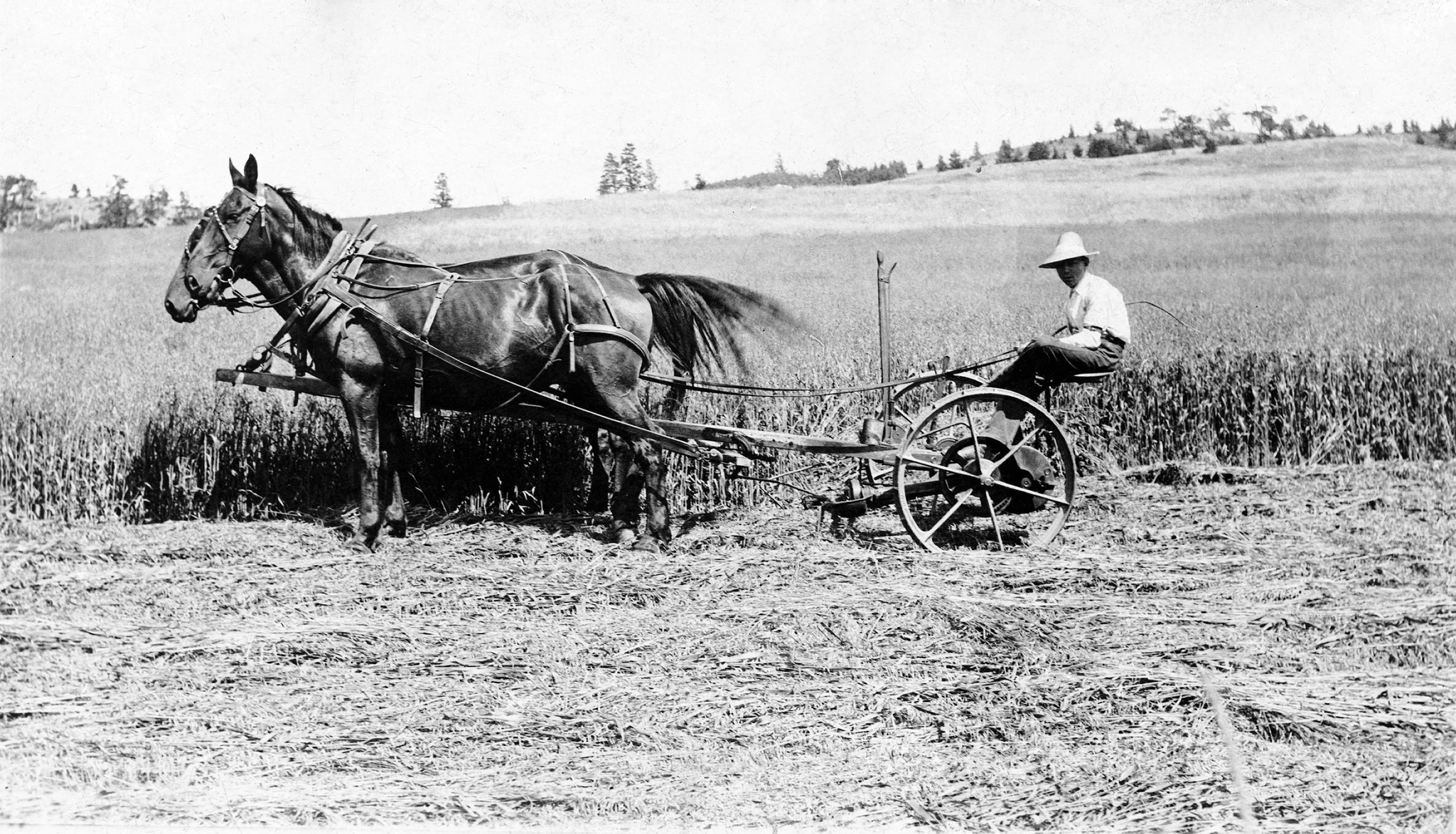 Great Falls at Work: Commerce, Industry and Agriculture from the 1880s through the 1960s - Image 11