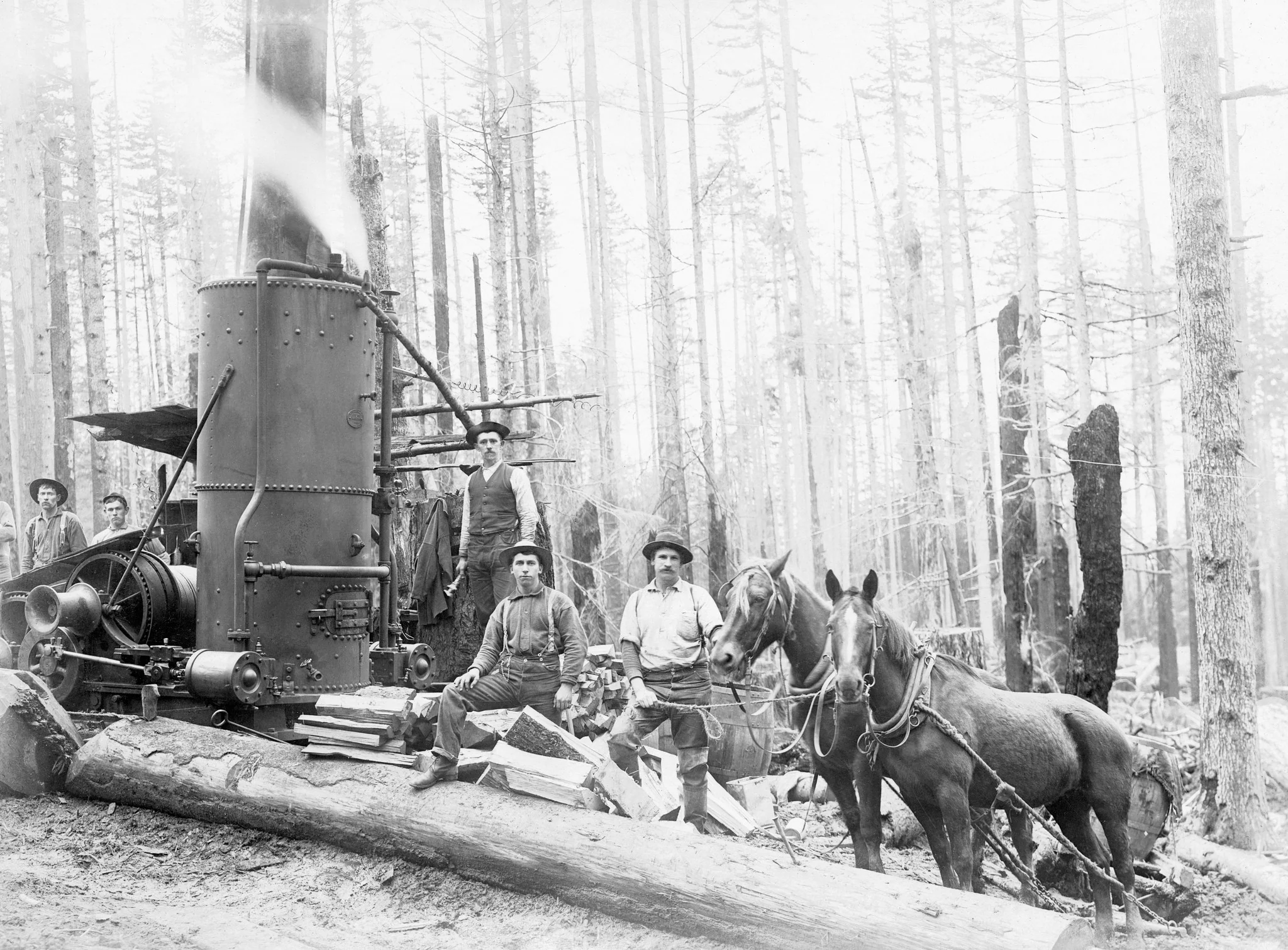 Greater Cowlitz County Memories: The Early Years - Image 2