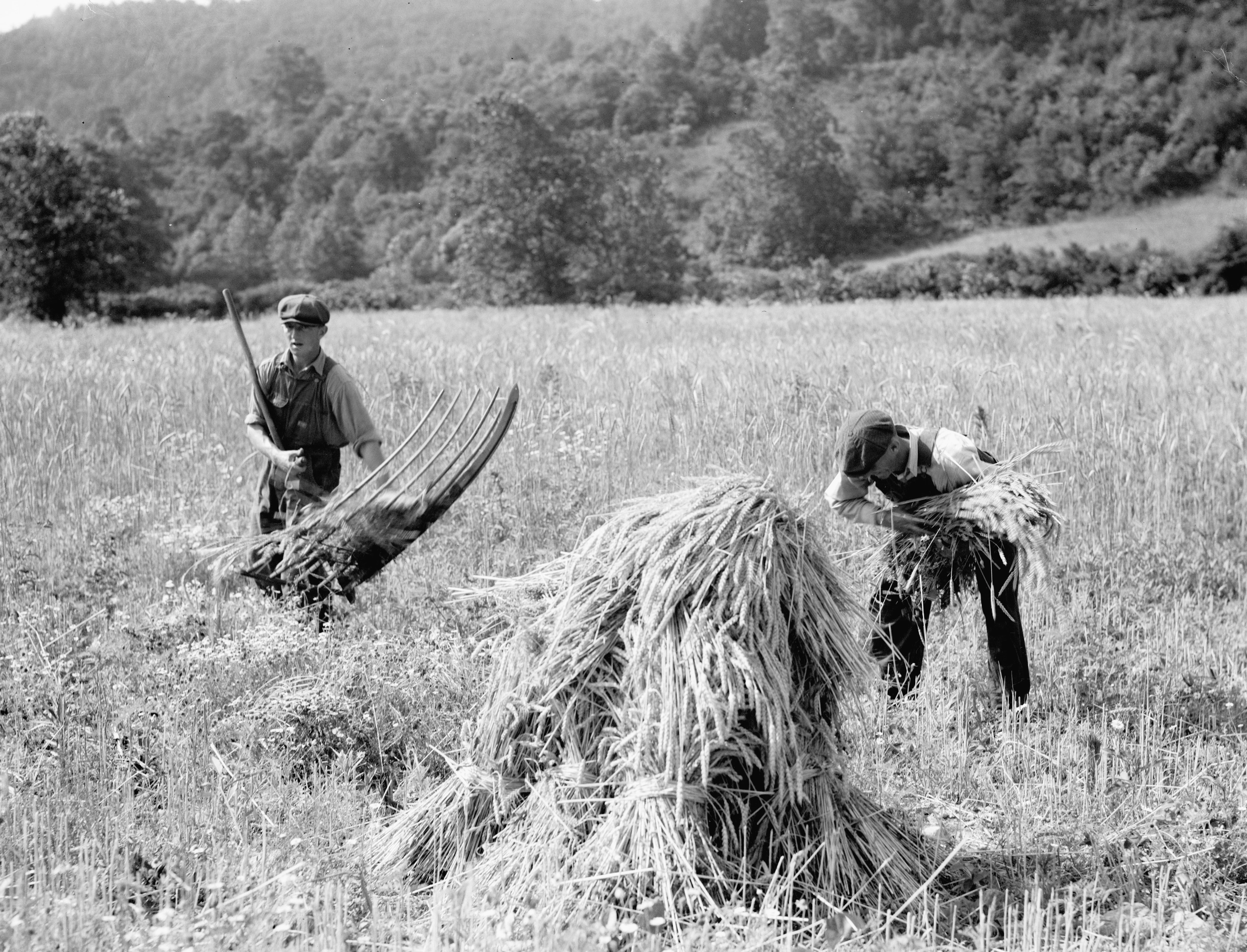 Greater Culpeper Memories: A Pictorial History of the Early Years - Image 5