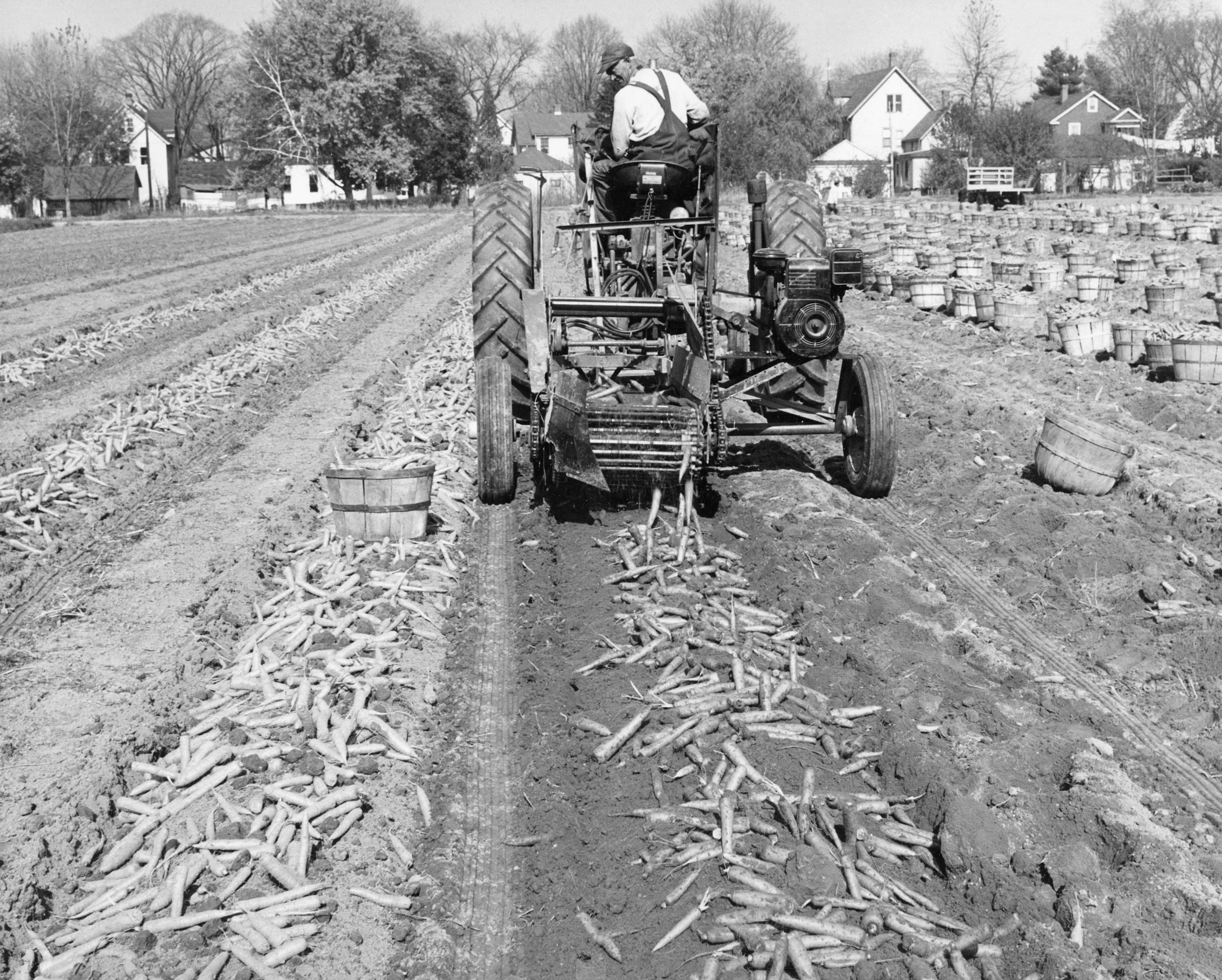 Greater Hartford Memories: A Photographic History of the 1800s through the 1930s - Image 6