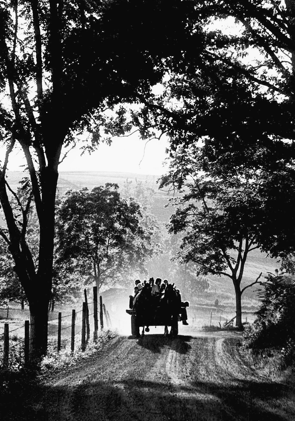 Harrisonburg and Rockingham: Through The Daily News-Record's Lens - Volume II - Image 4