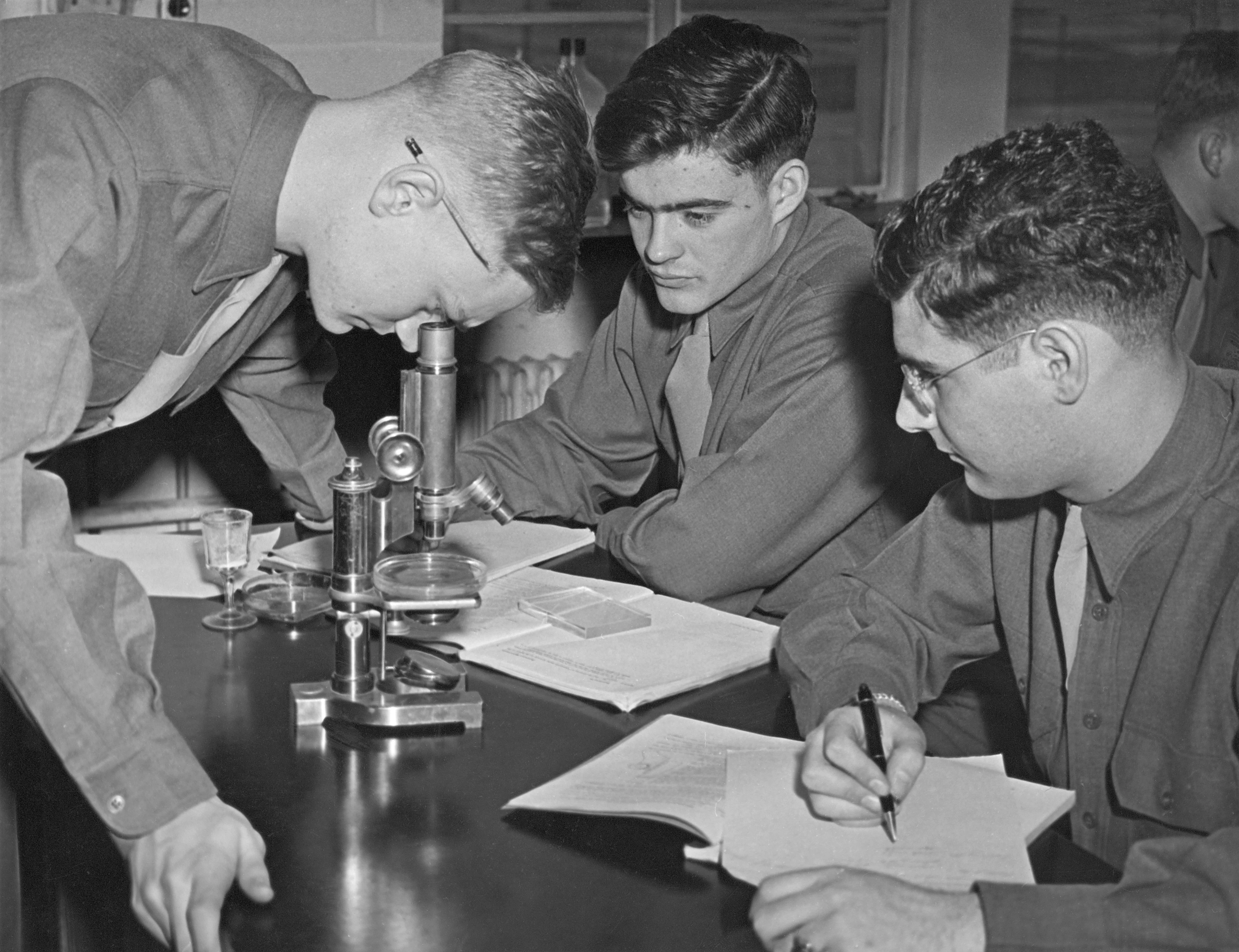 Holland Memories II: The 1940s, 1950s and 1960s - Image 13