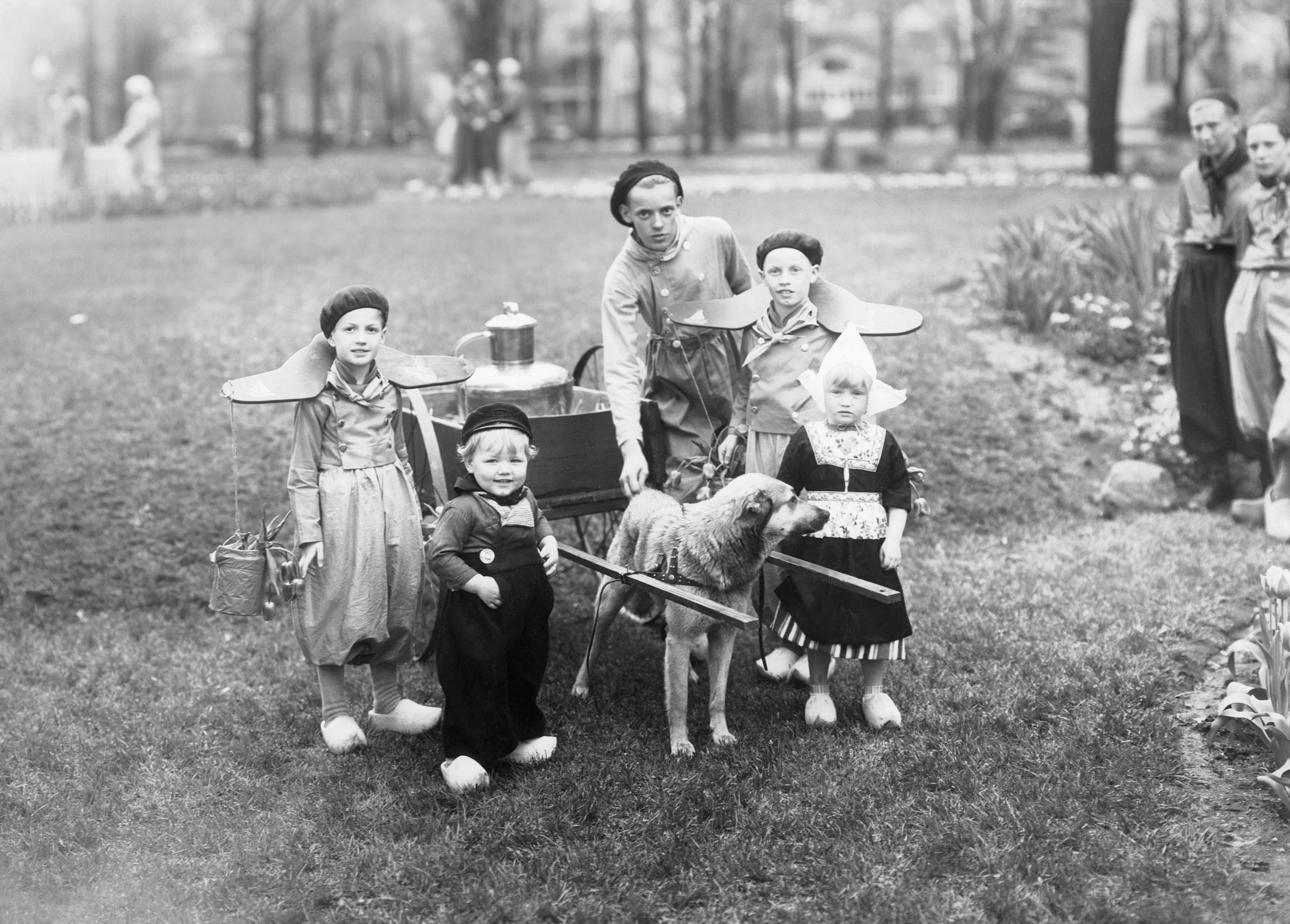 Holland Memories II: The 1940s, 1950s and 1960s - Image 8