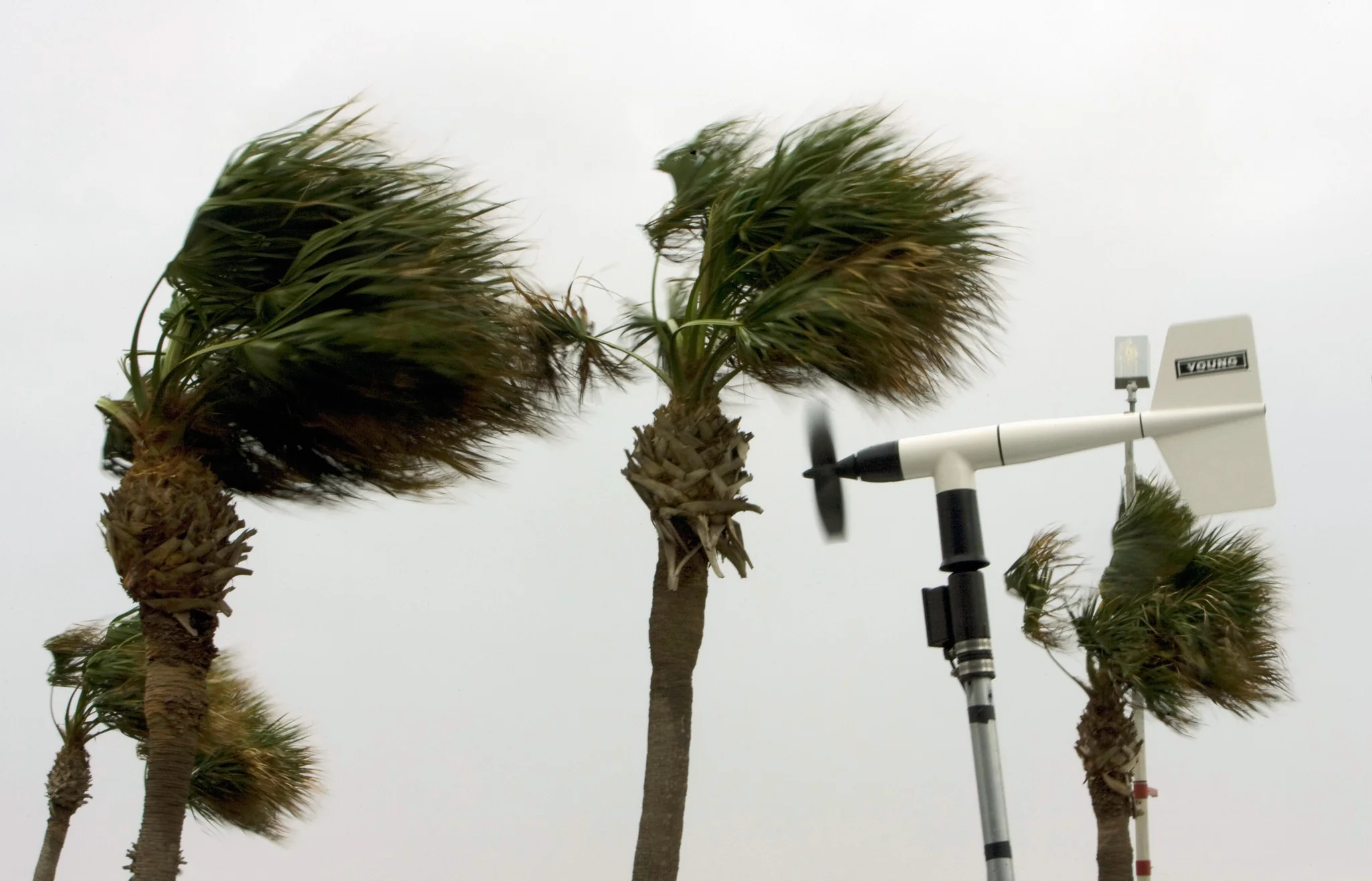 Hurricane Ike: A Photographic Account Presented by the Houston Chronicle - Image 8