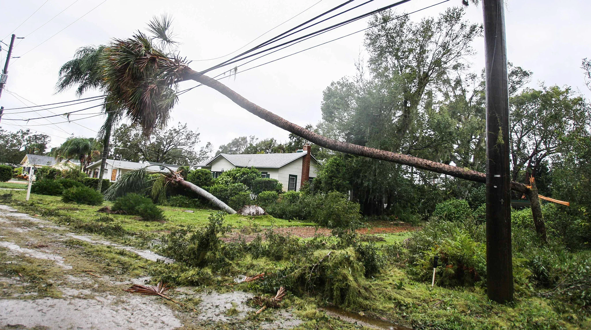 Hurricane Matthew: A Photographic Account Presented By The Daytona Beach News-Journal - Image 4