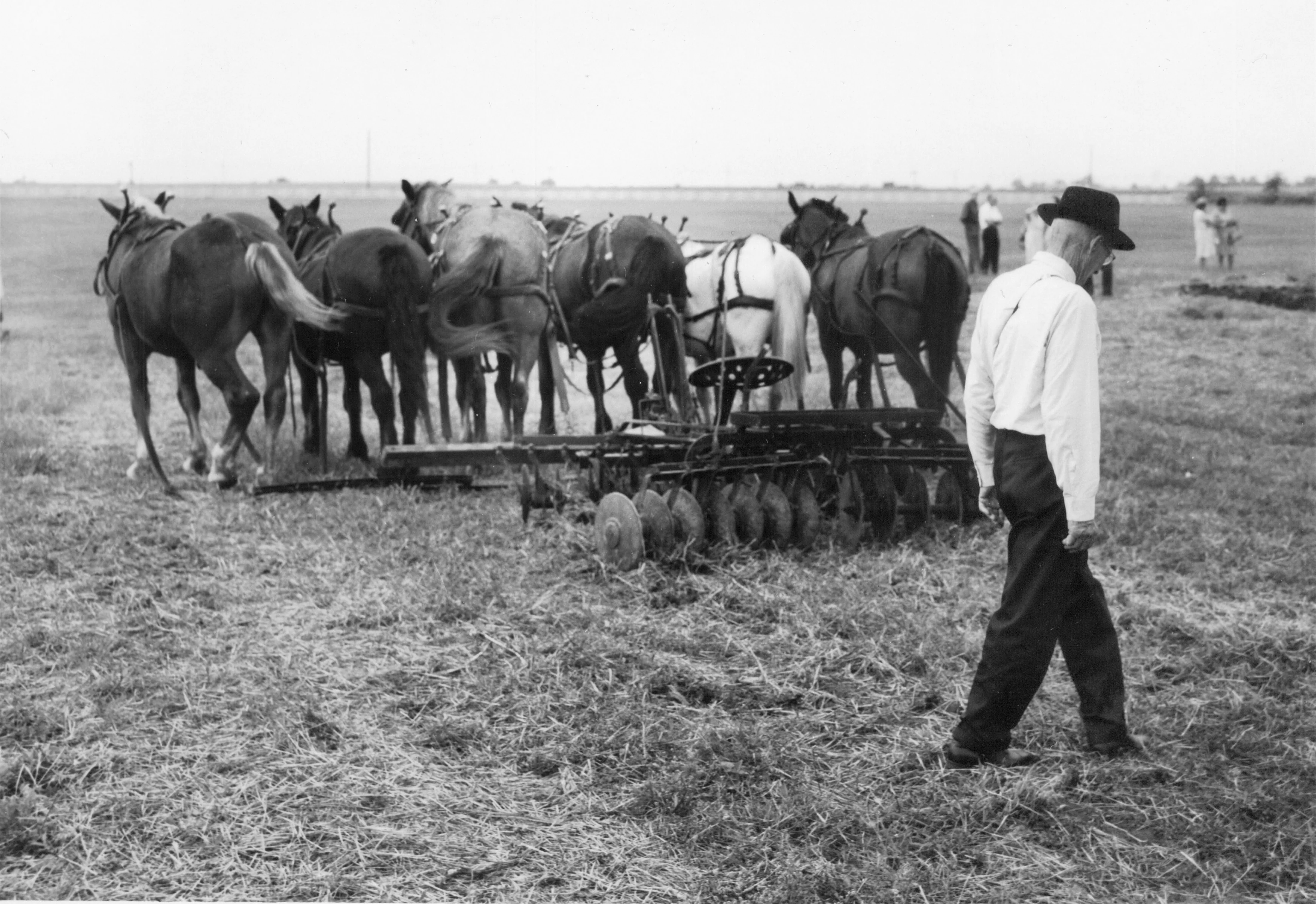 Into the Fields: A Celebration of Farm Life <br> Photographs and Rural Route 4 columns from the Quad-City Times - Image 5