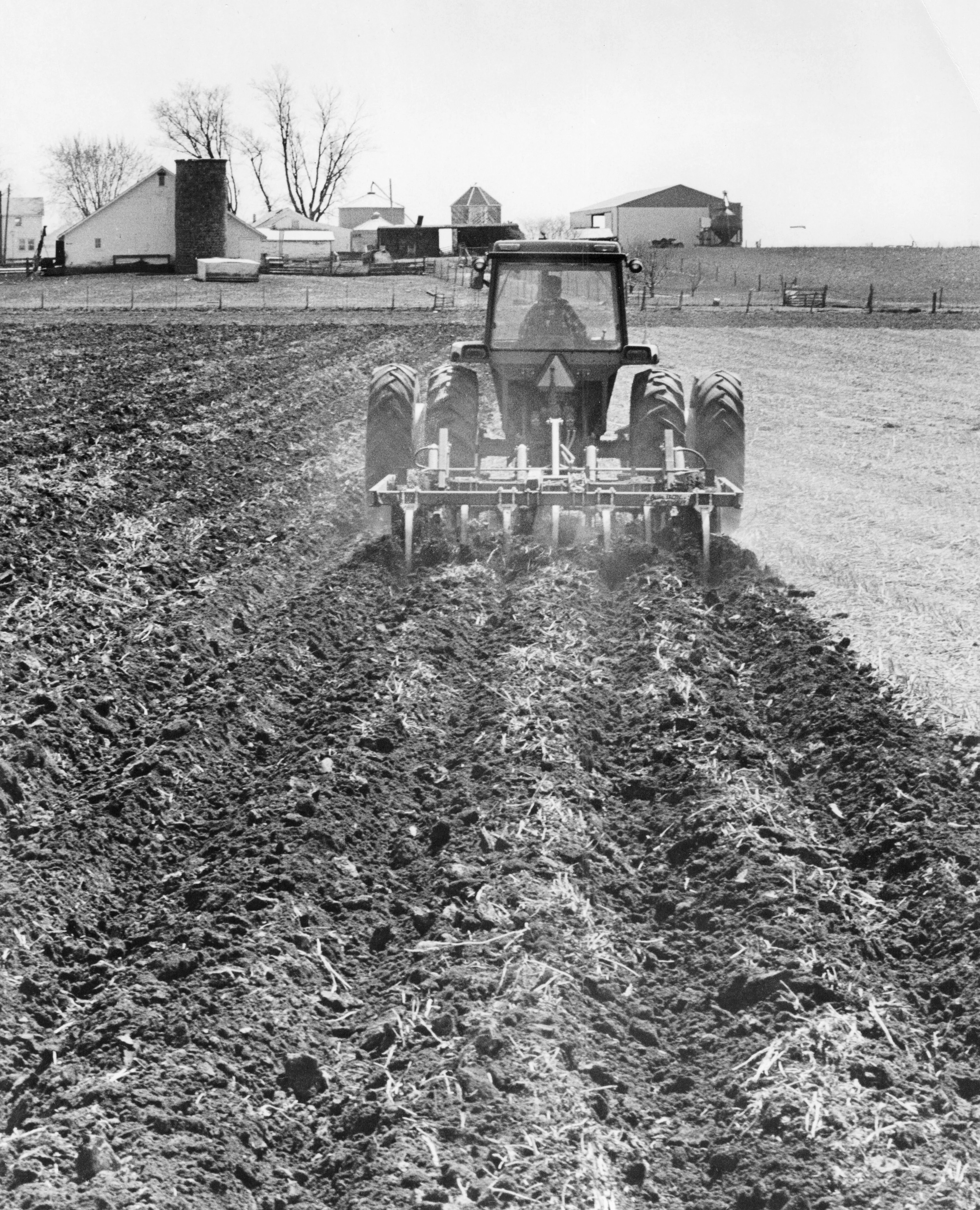 Into the Fields: A Celebration of Farm Life <br> Photographs and Rural Route 4 columns from the Quad-City Times - Image 7