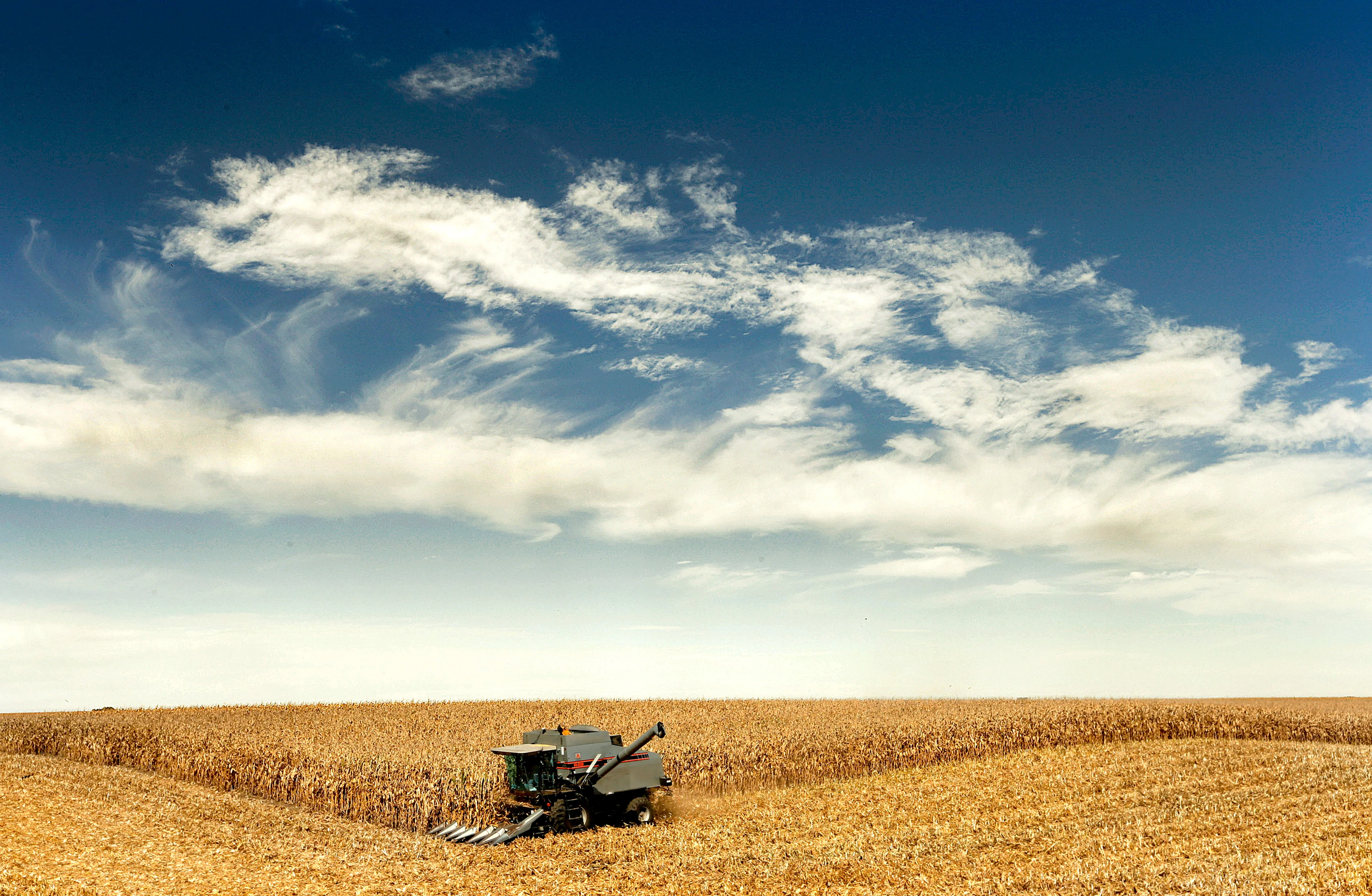 Into the Fields: A Celebration of Farm Life <br> Photographs and Rural Route 4 columns from the Quad-City Times - Image 8