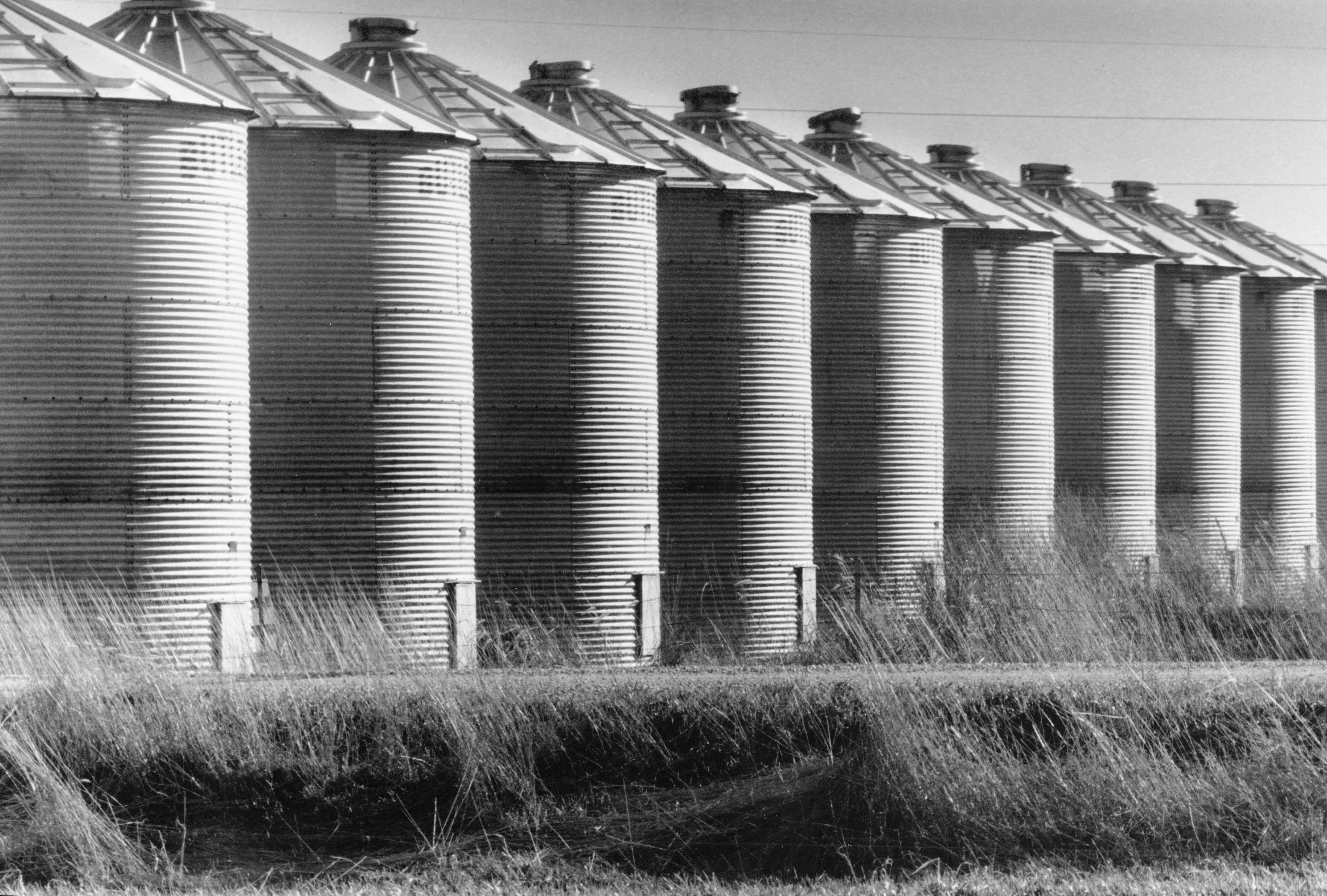 Into the Fields: A Celebration of Farm Life <br> Photographs and Rural Route 4 columns from the Quad-City Times - Image 9