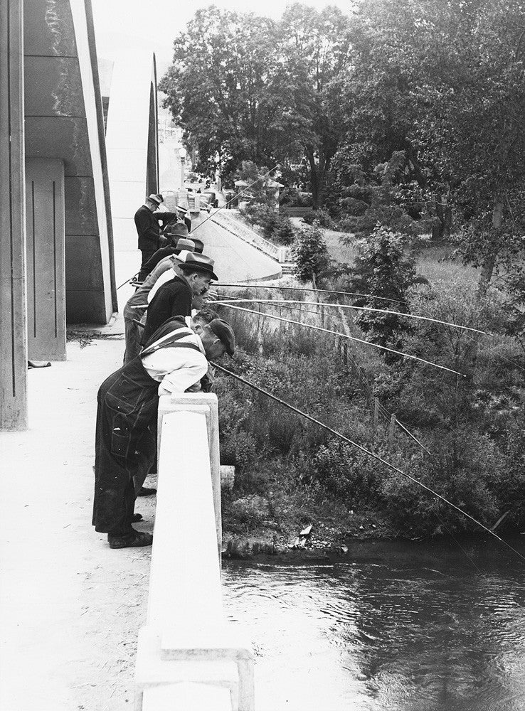 Josephine County Memories: A Pictorial History from the 1800s through the 1960s - Image 8