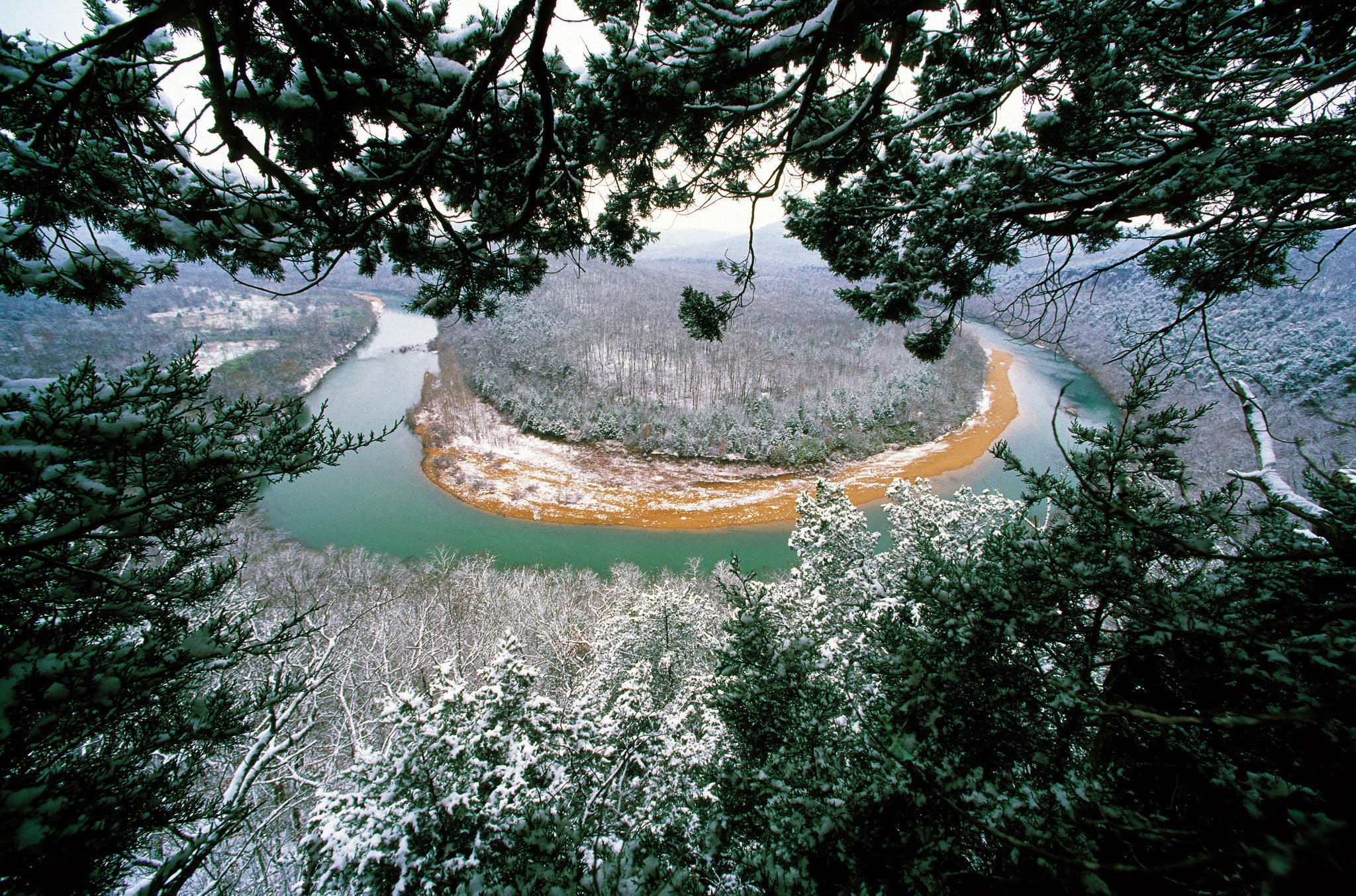 Connecting with Nature: Portraits and Essays on Nature and Man - Image 3