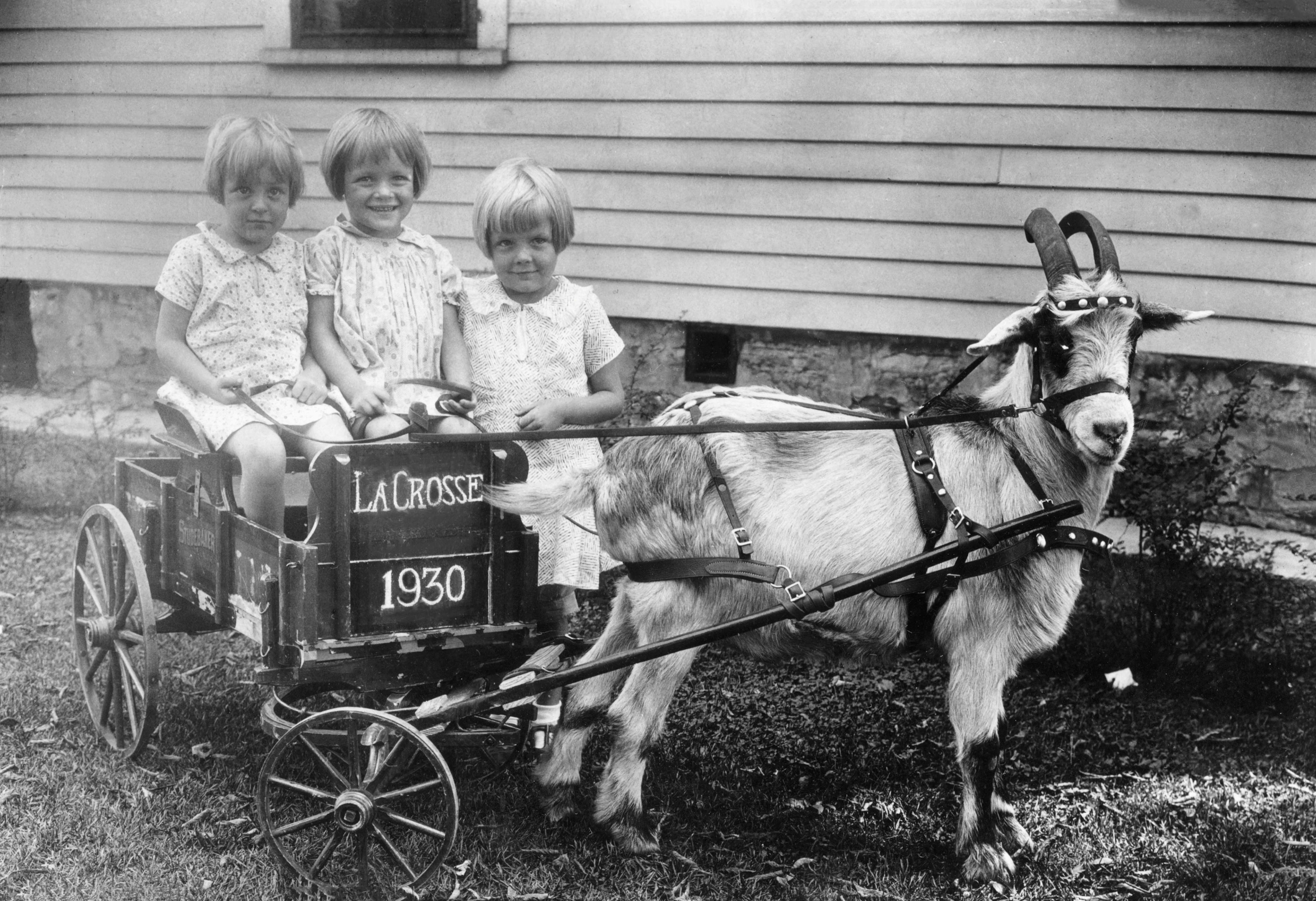 La Crosse Memories III: More Than 125 Years of Photographic History - Image 3