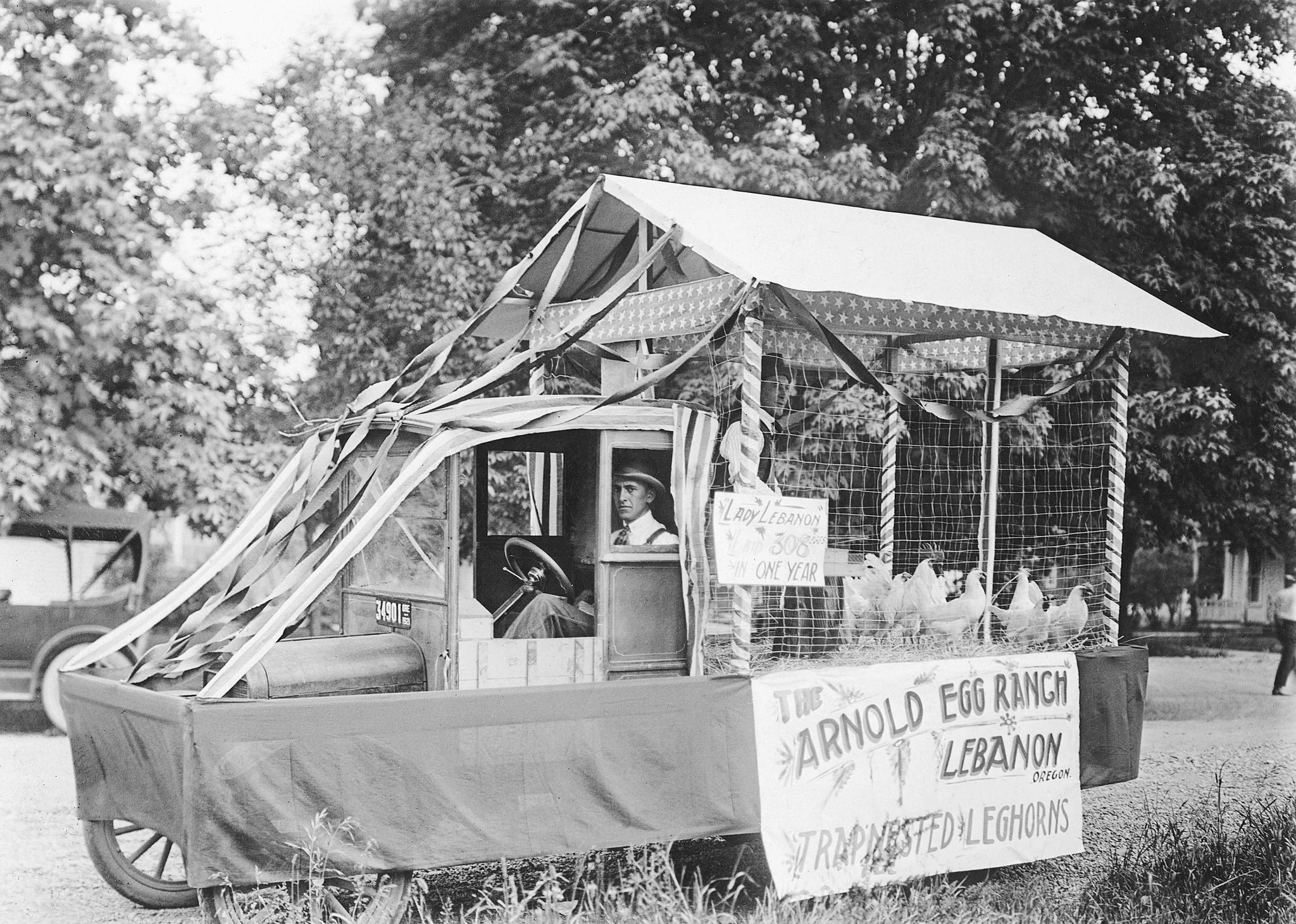 Linn County Memories: The Early Years - Image 7