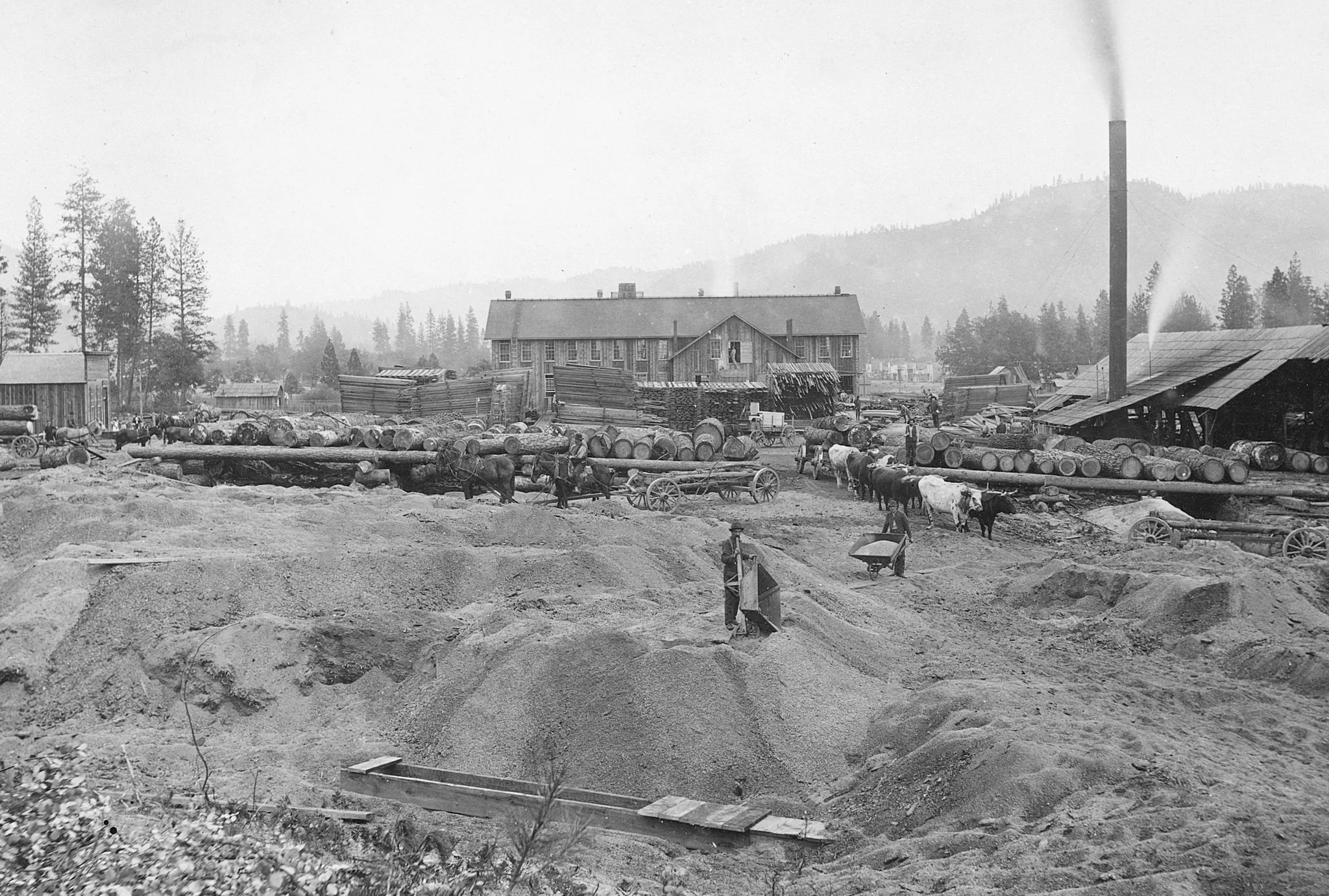 Linn County Memories: The Early Years - Image 8
