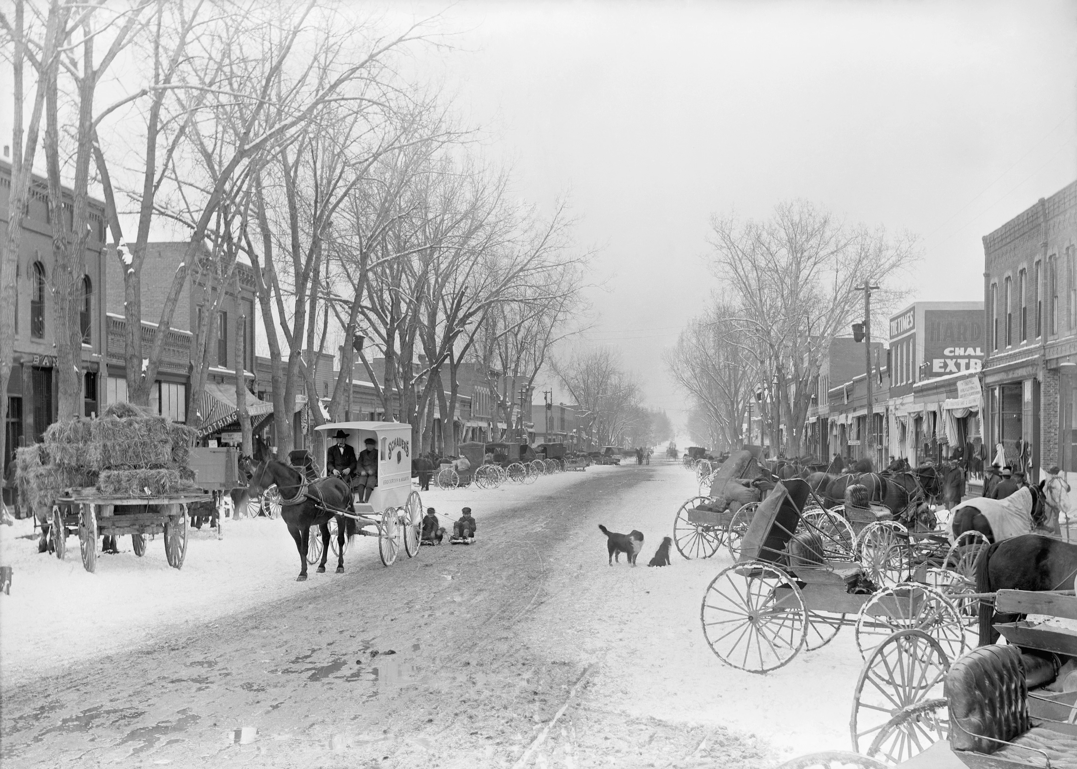 Longmont Memories: The Early Years - Image 10