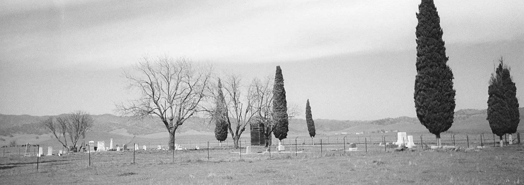 Looking Back: 150 Years of the Colusa County Sun-Herald - Image 11