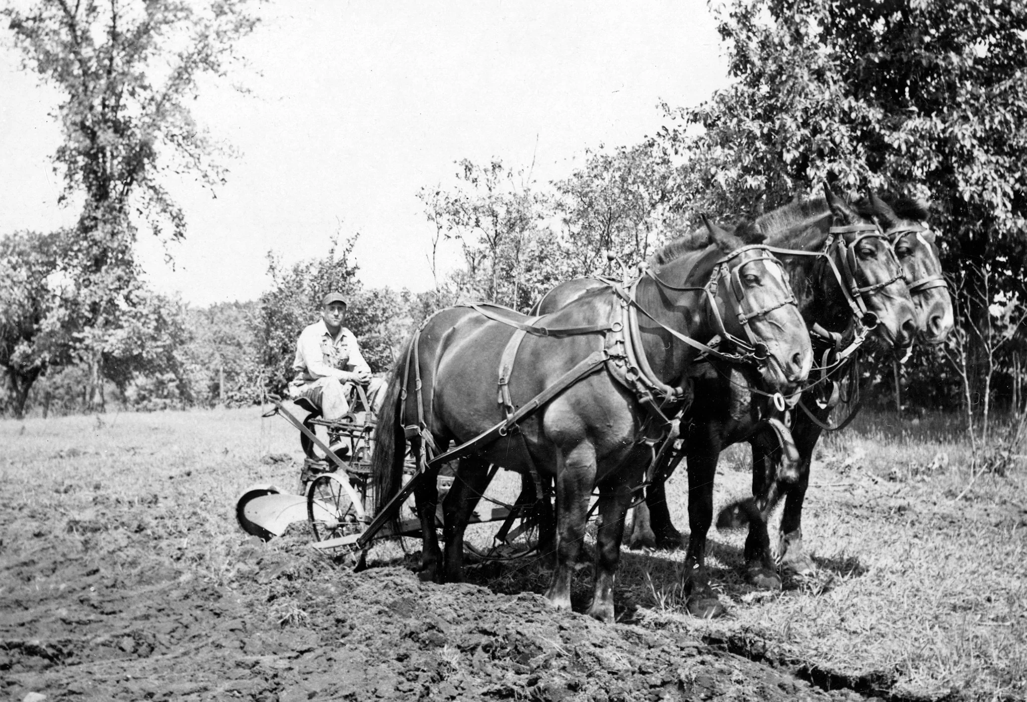 A Pictorial Retrospective of Saginaw County: Looking Back: The 1800s to Today - Image 3