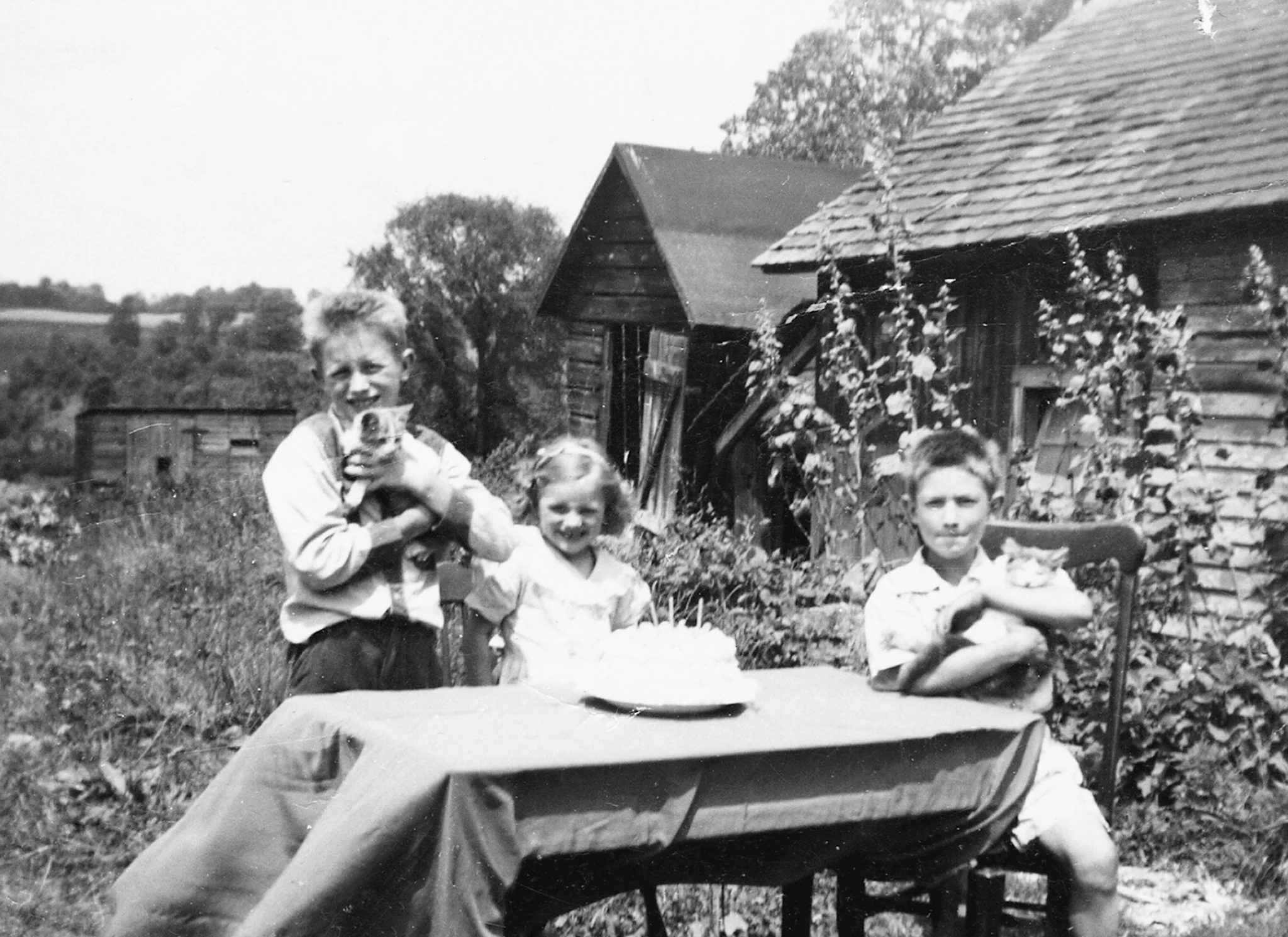 Looking Back: Mohawk Valley II (Utica) - Image 8