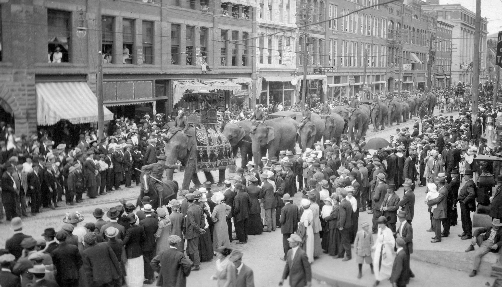 A Pictorial History: Looking Back: Otsego, Delaware, Chenango and Schoharie Counties of Upstate New York - Image 14