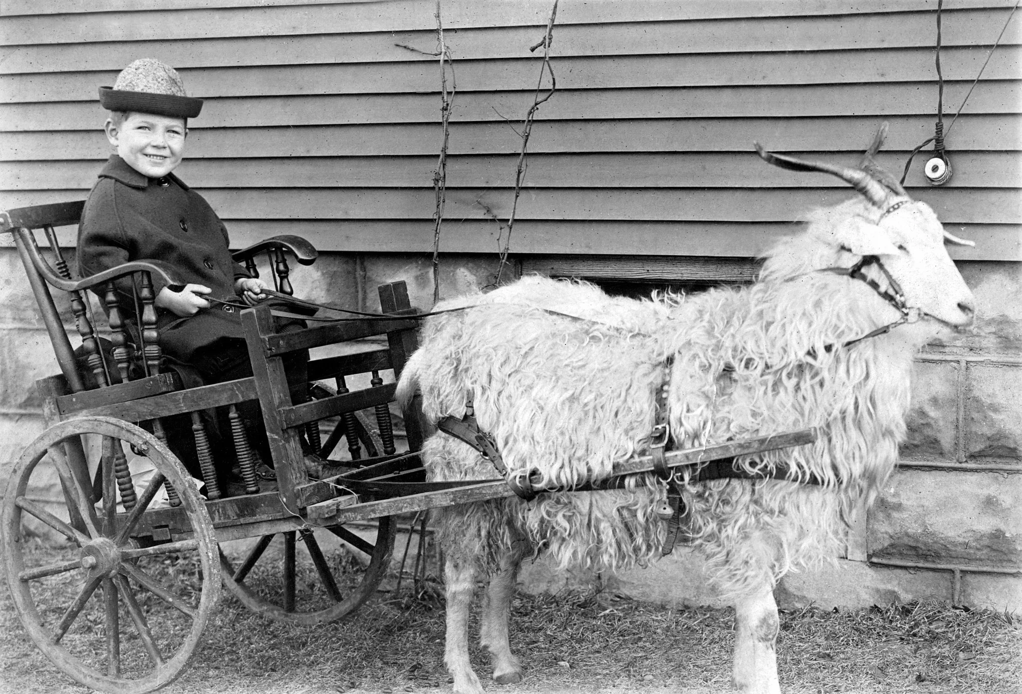 Macon County Memories - Image 5