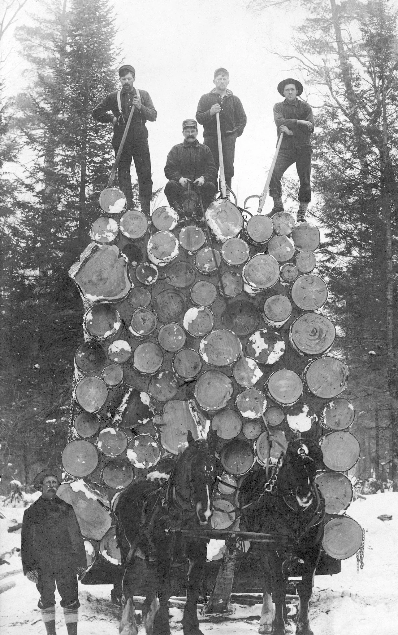 Marshfield Memories: The Early Years - Image 14
