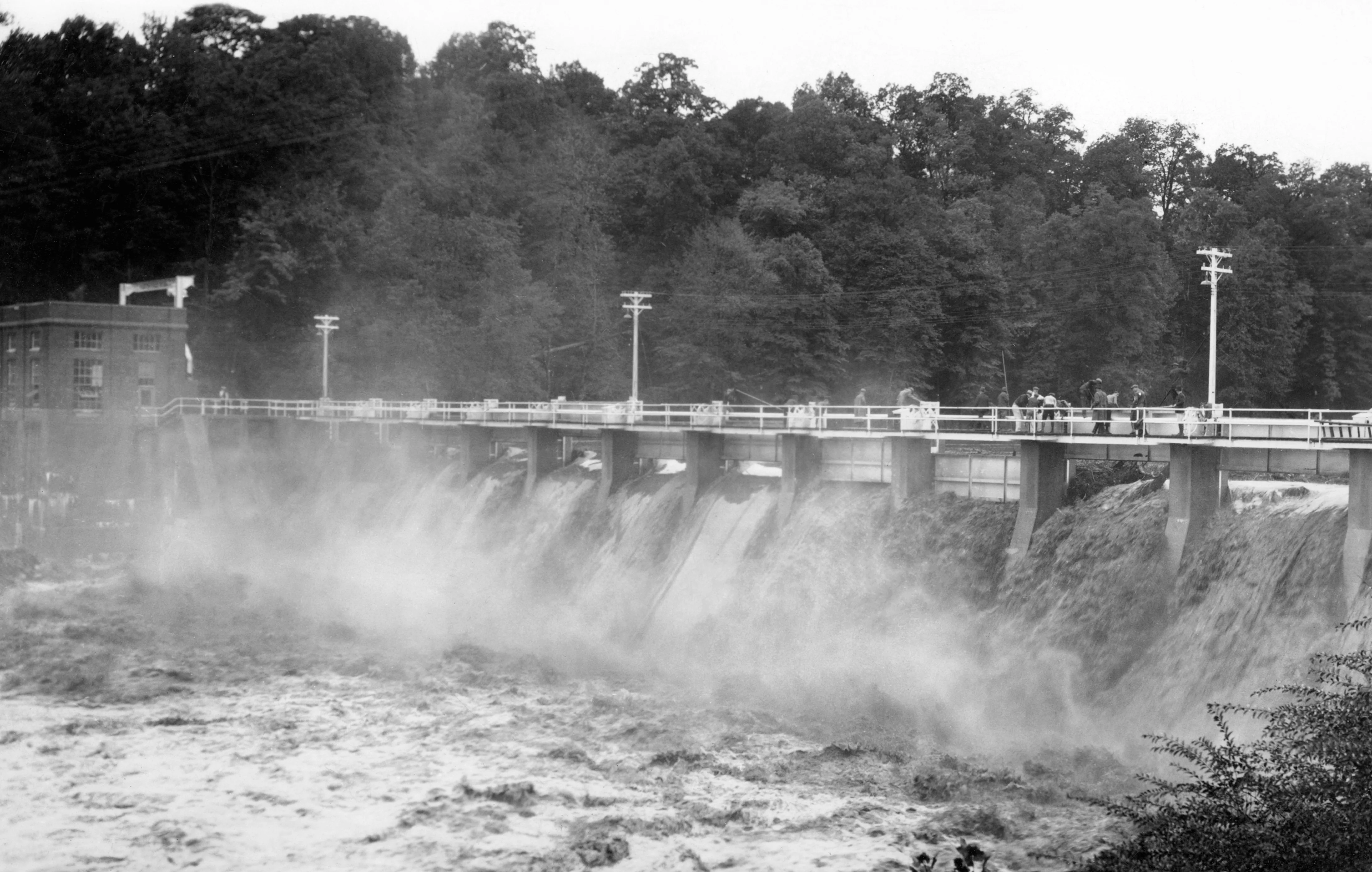 Martinsville & Henry County Memories: A Photographic History of the 1800s through the 1930s - Image 12
