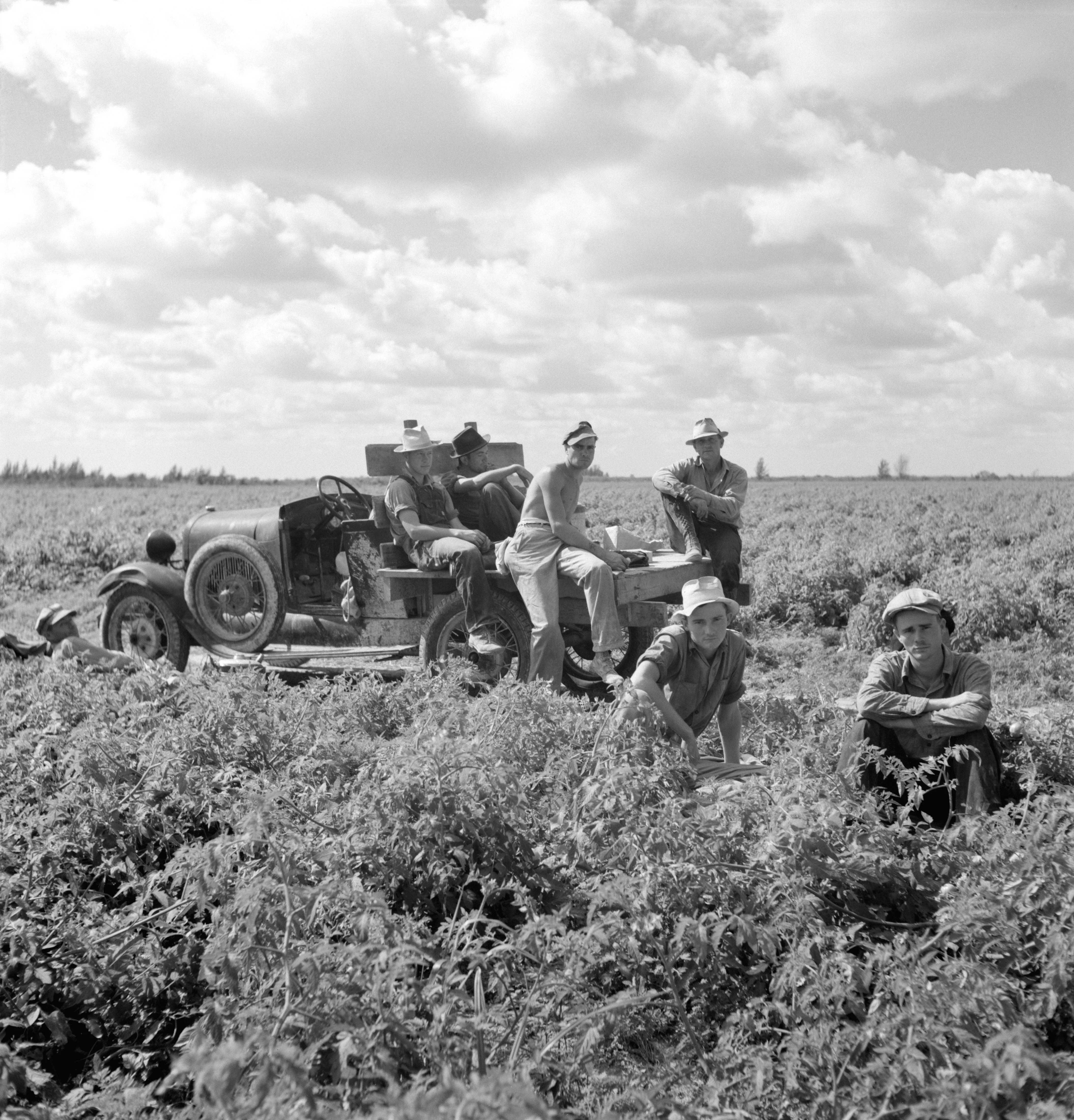 Miami Memories: A Pictorial History of the mid-1800s through the 1930s - Image 12