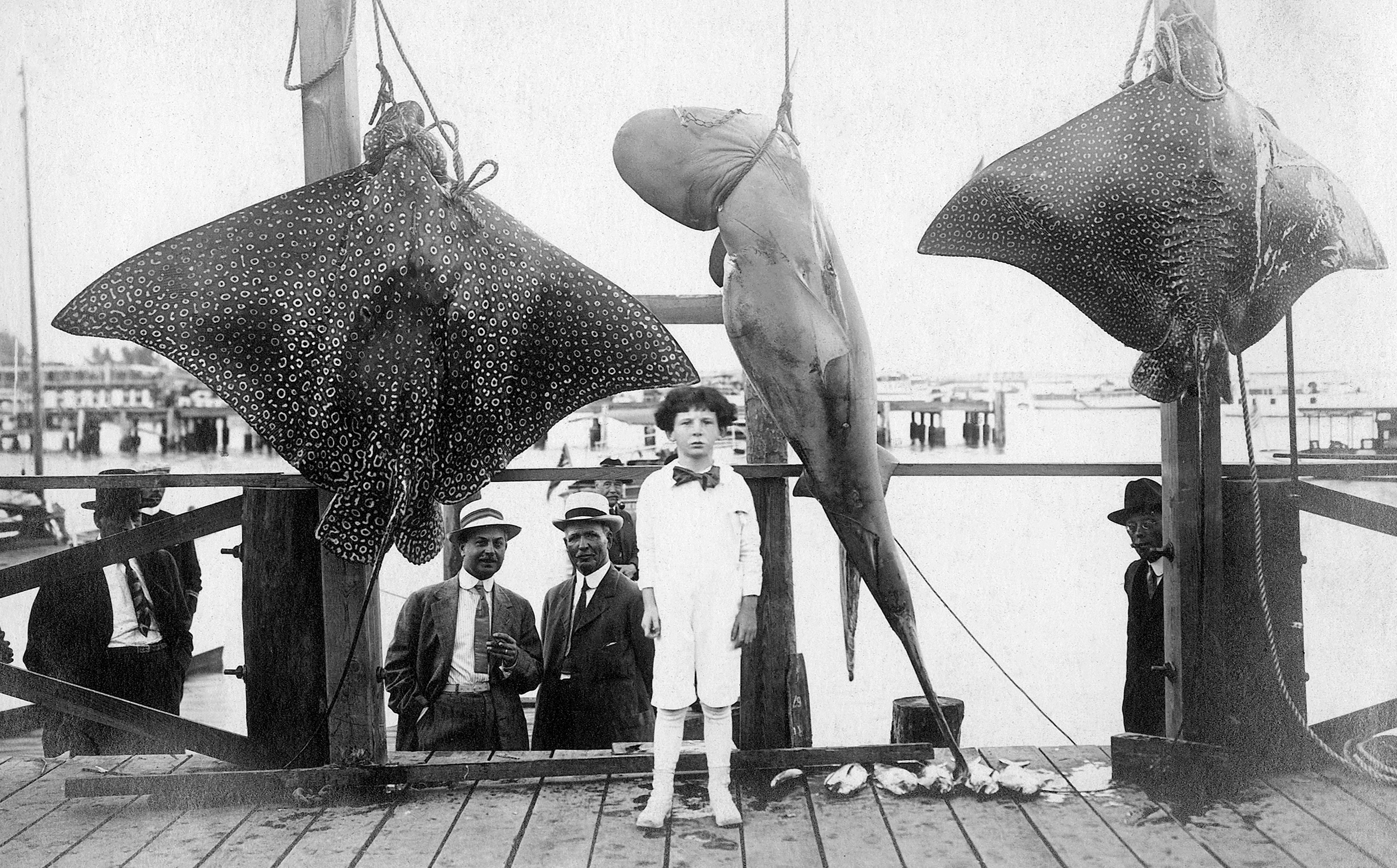 Miami Memories: A Pictorial History of the mid-1800s through the 1930s - Image 5