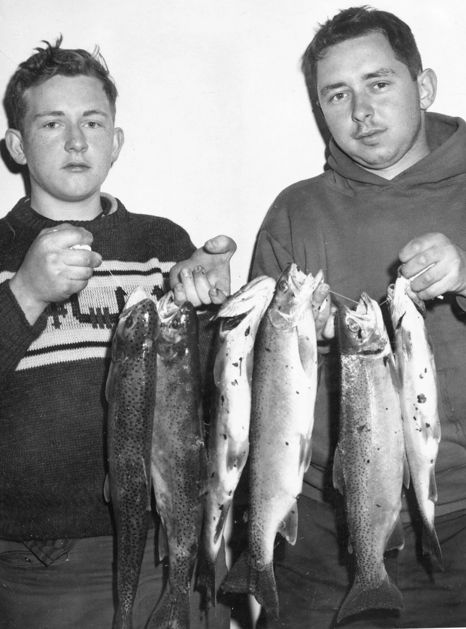 Mid-Hudson Memories: A Photographic Retrospective - Image 5
