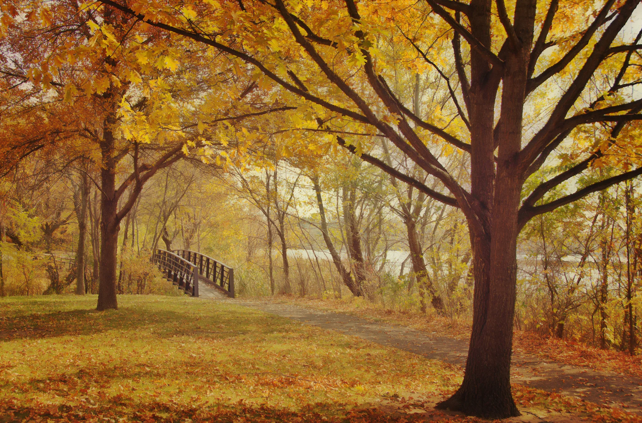 Minnesota in Seasons: A Photographic Journey Through Minnesota - Image 10