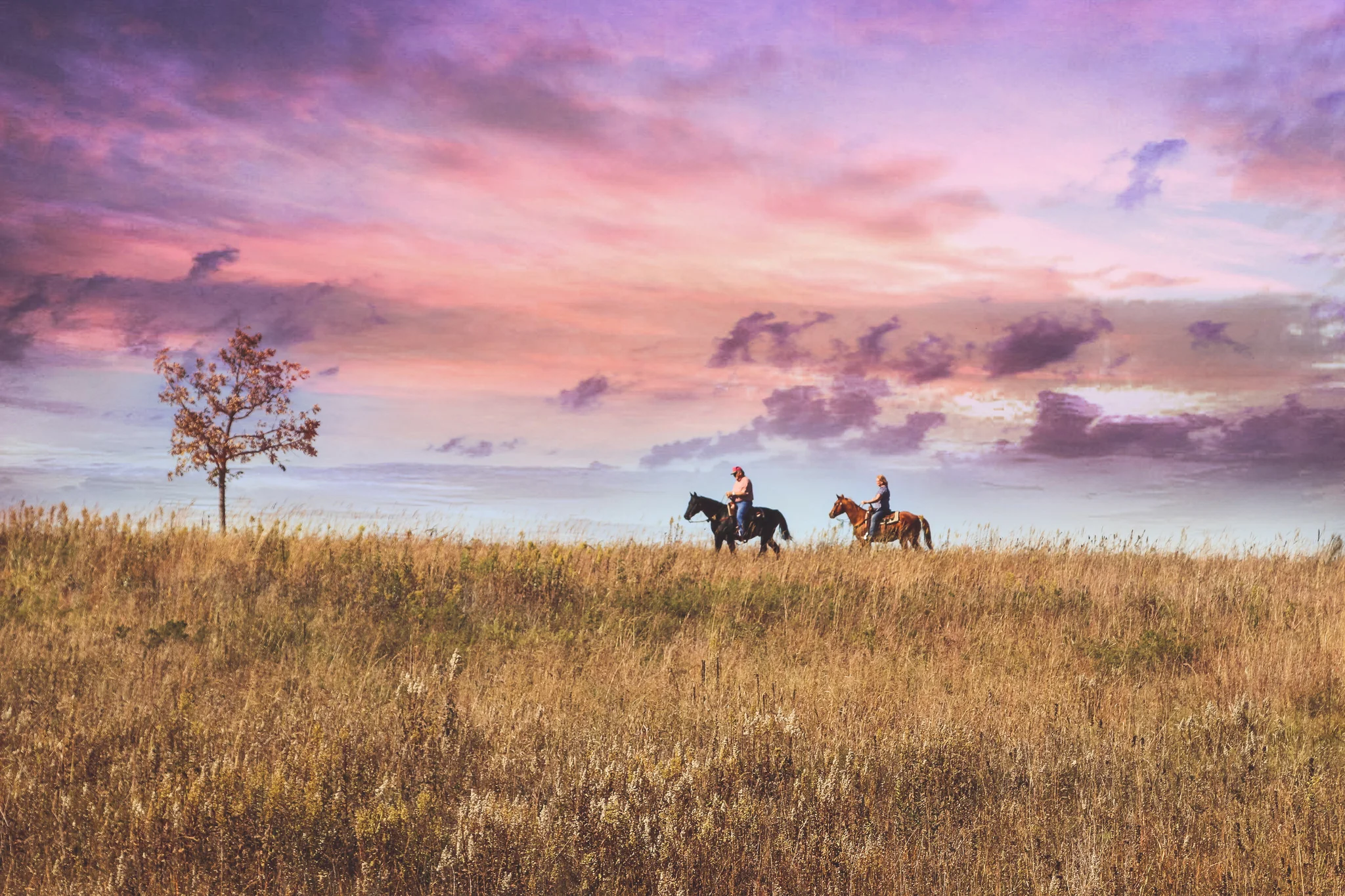 Minnesota in Seasons: A Photographic Journey Through Minnesota - Image 14