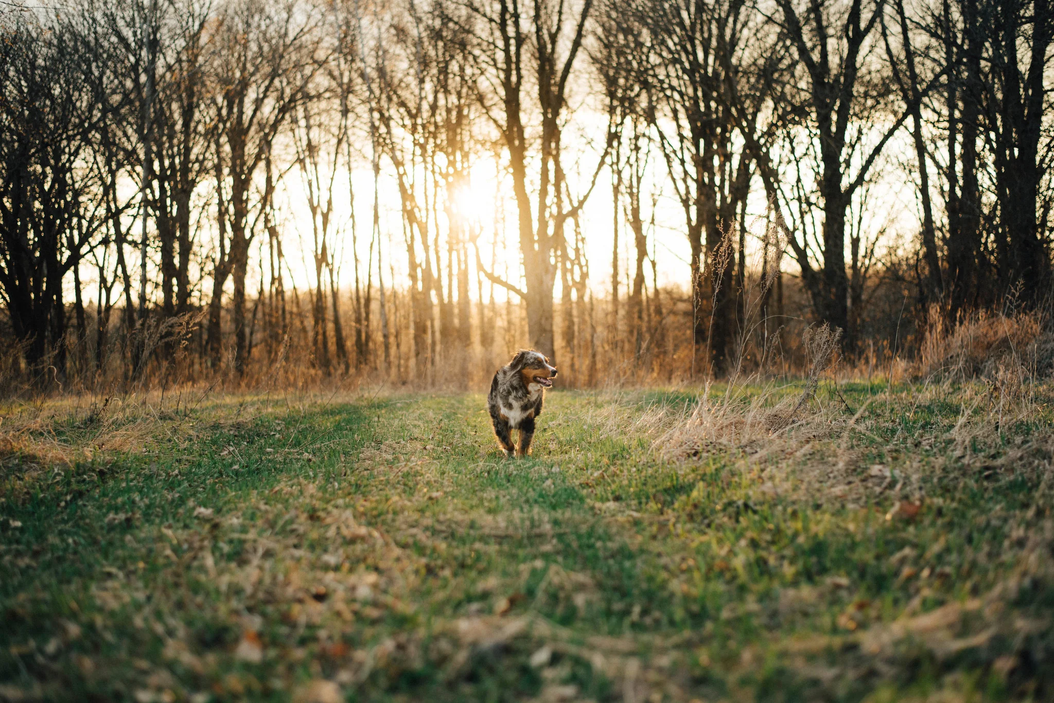Minnesota in Seasons: A Photographic Journey Through Minnesota - Image 9