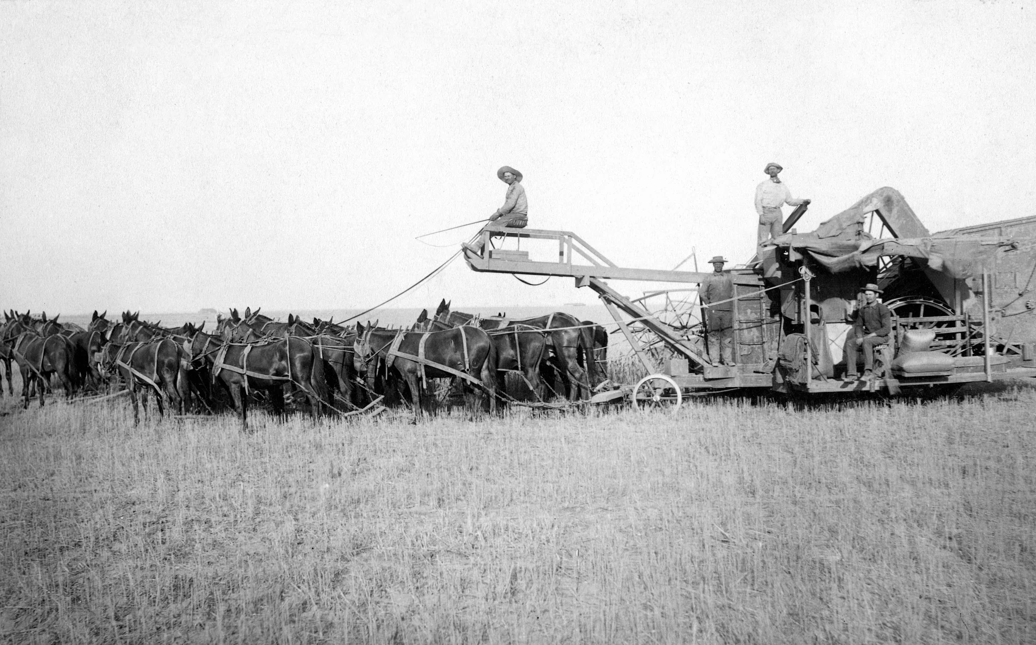 Modesto Memories: The Early Years - Image 11