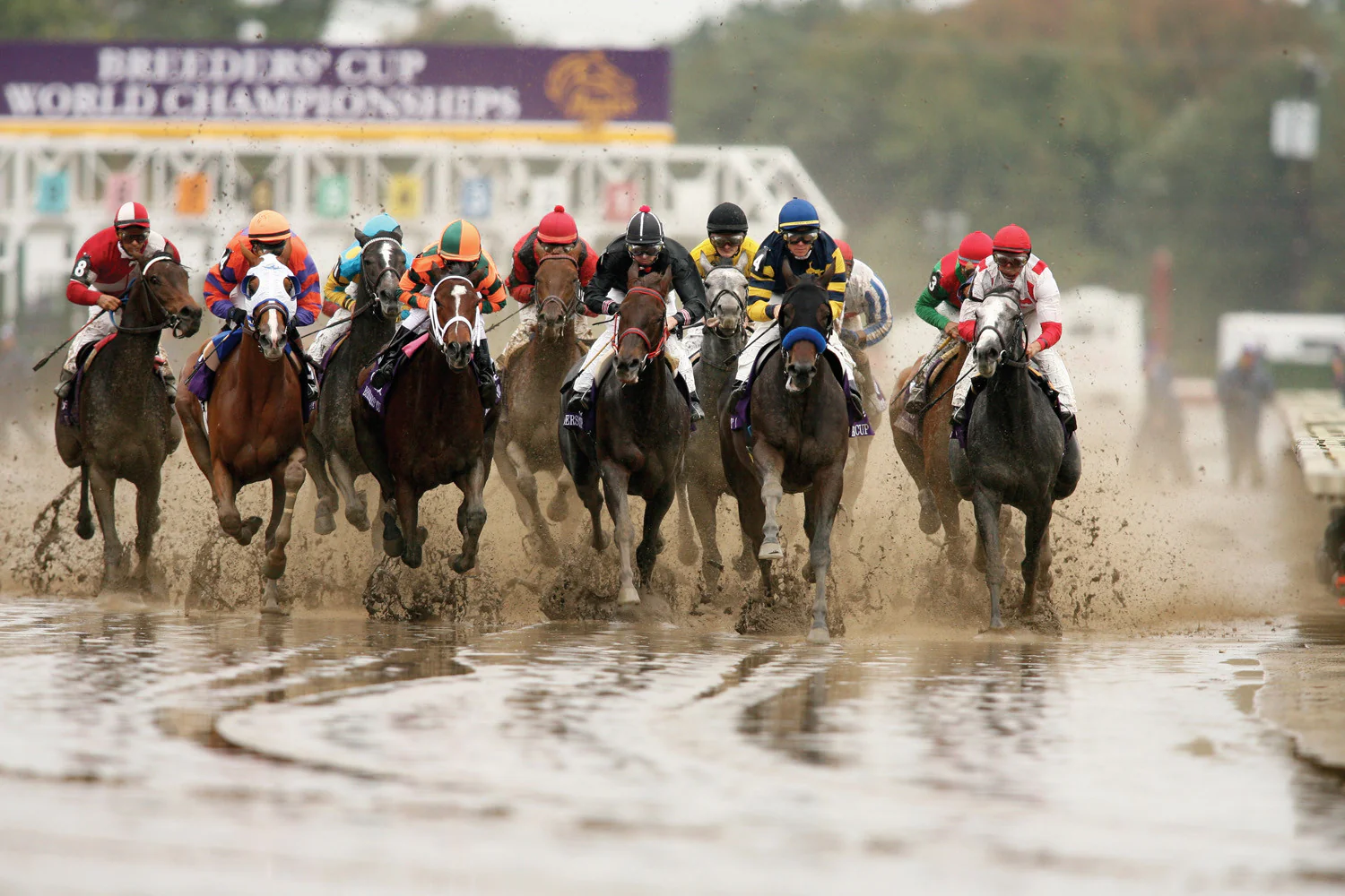 Monmouth Park: The Shore's Greatest Stretch Since 1870 - Image 11
