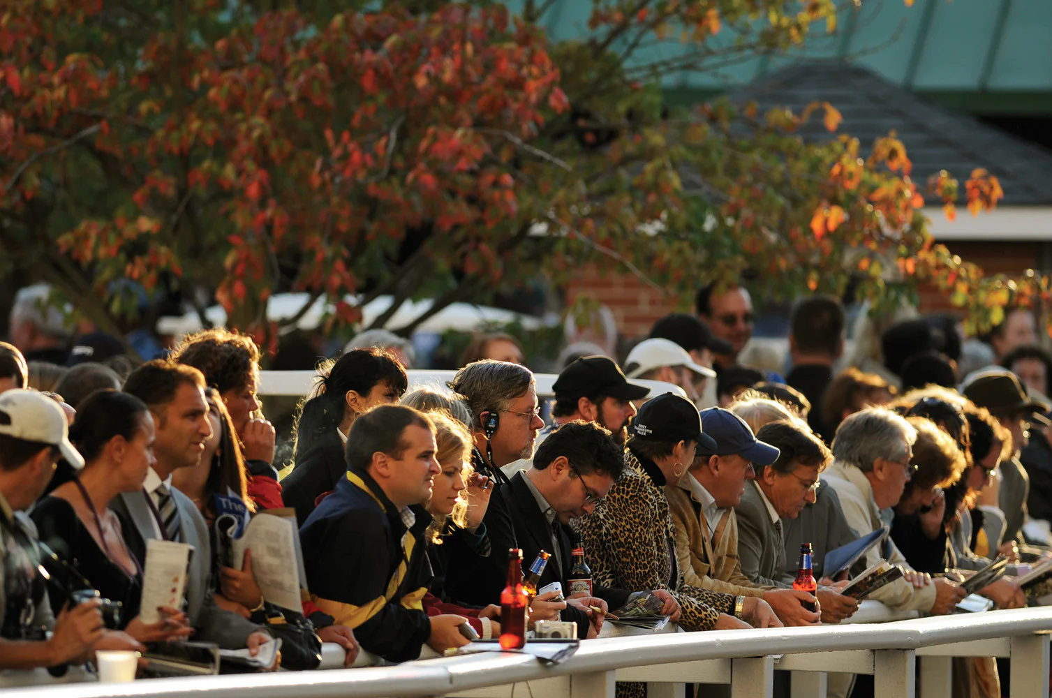 Monmouth Park: The Shore's Greatest Stretch Since 1870 - Image 5